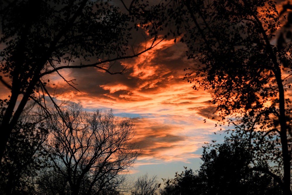 a sunset with clouds and trees in the foreground