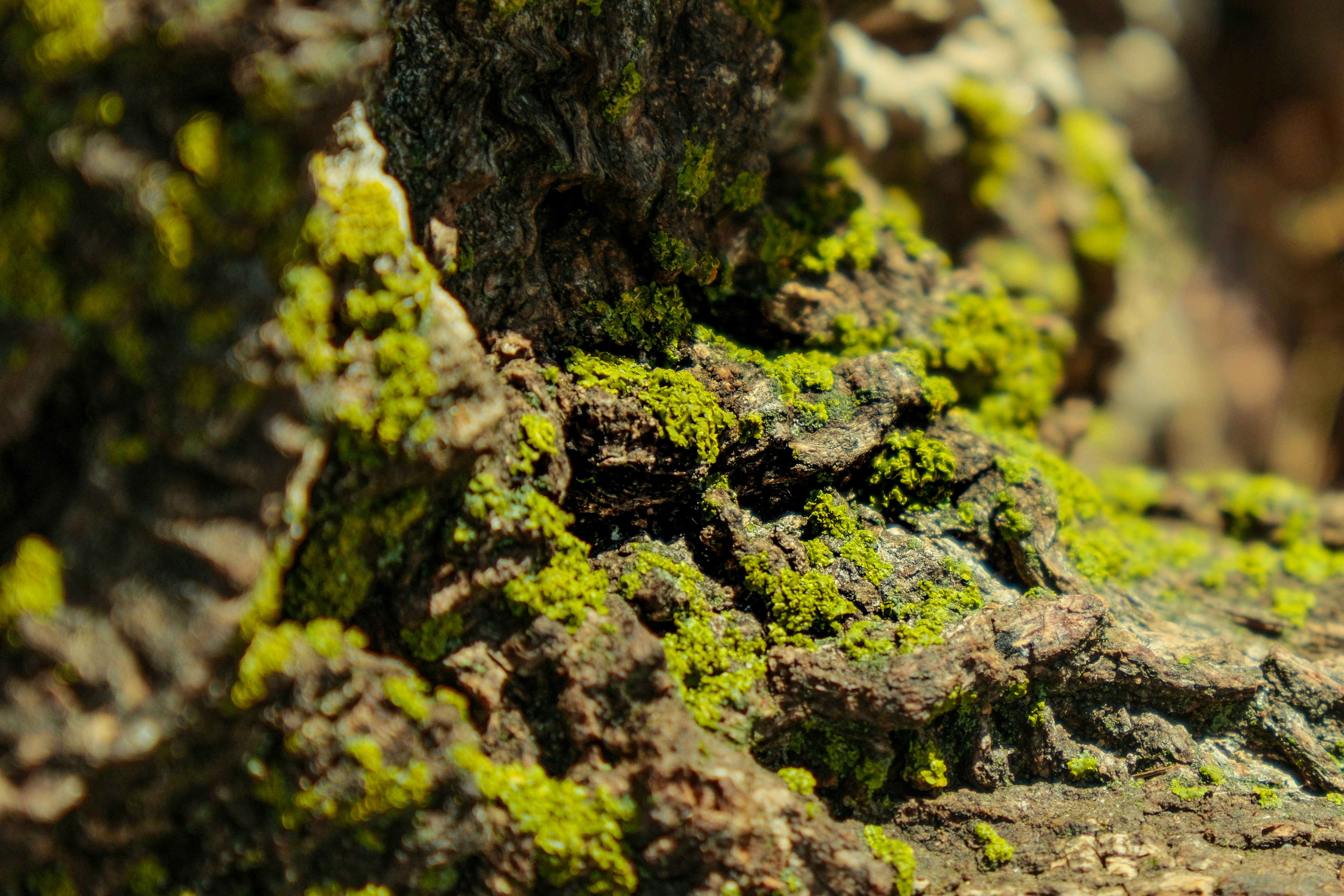 Photo by consoledotlog