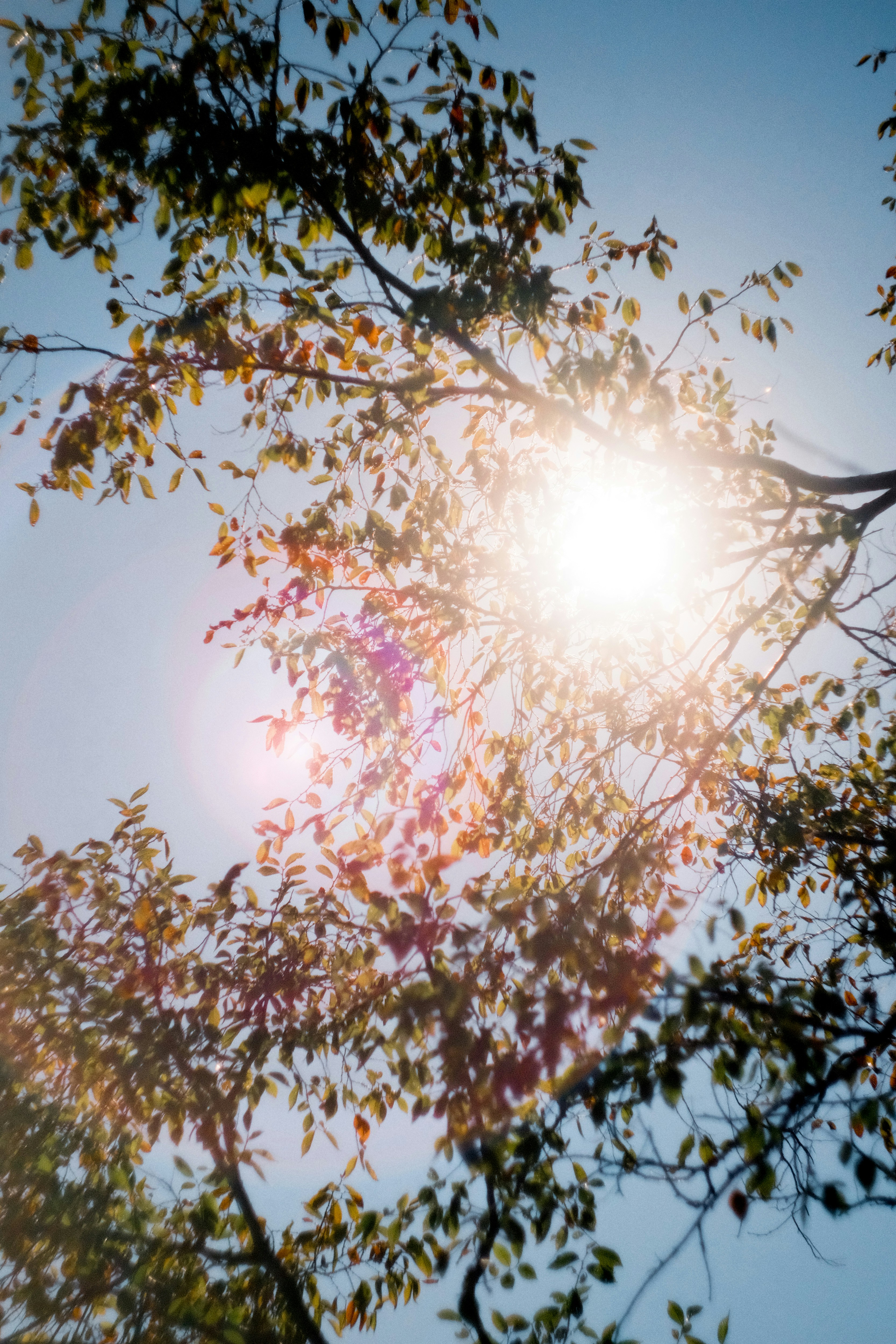 Photo by consoledotlog