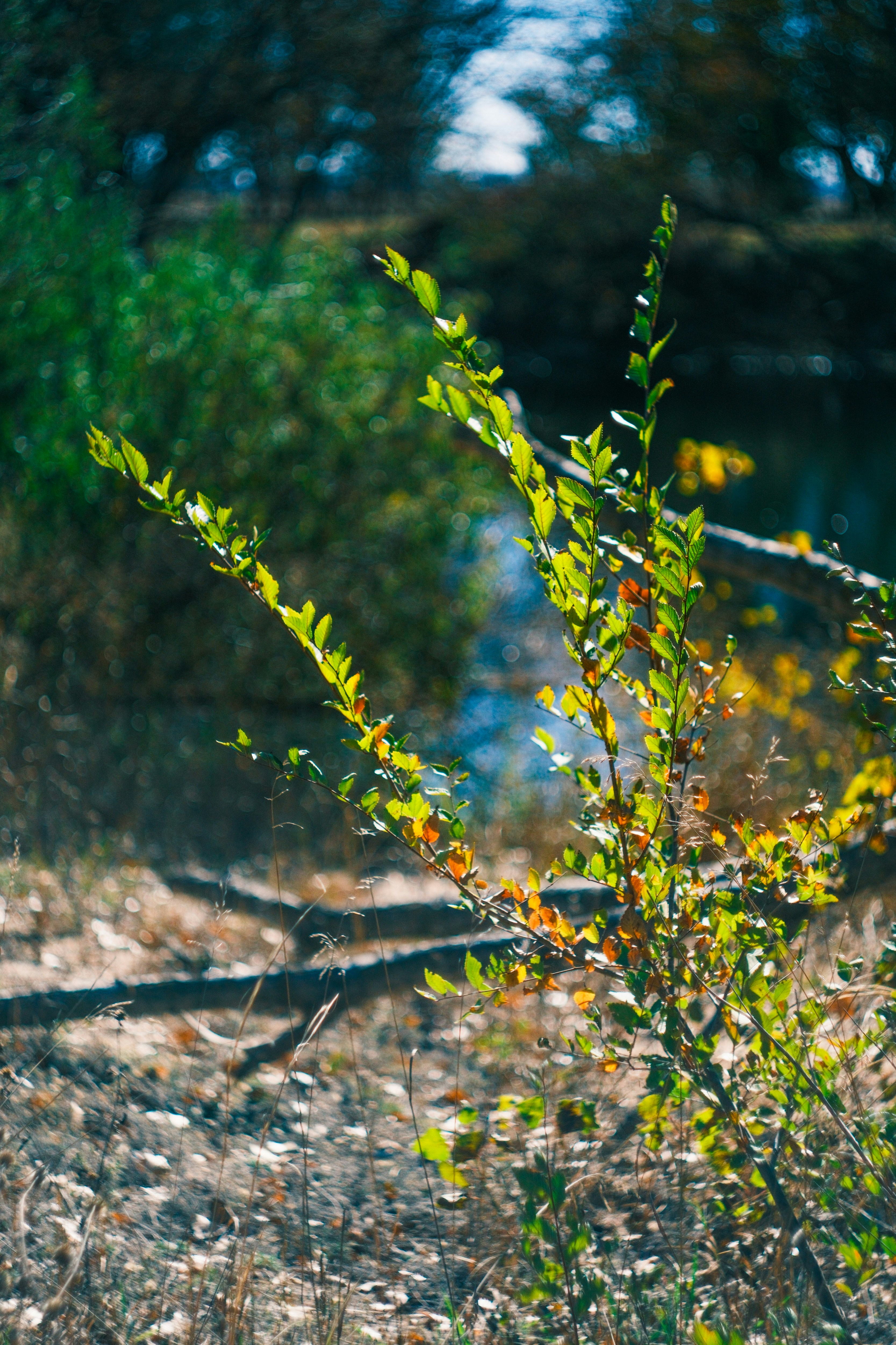 Photo by consoledotlog