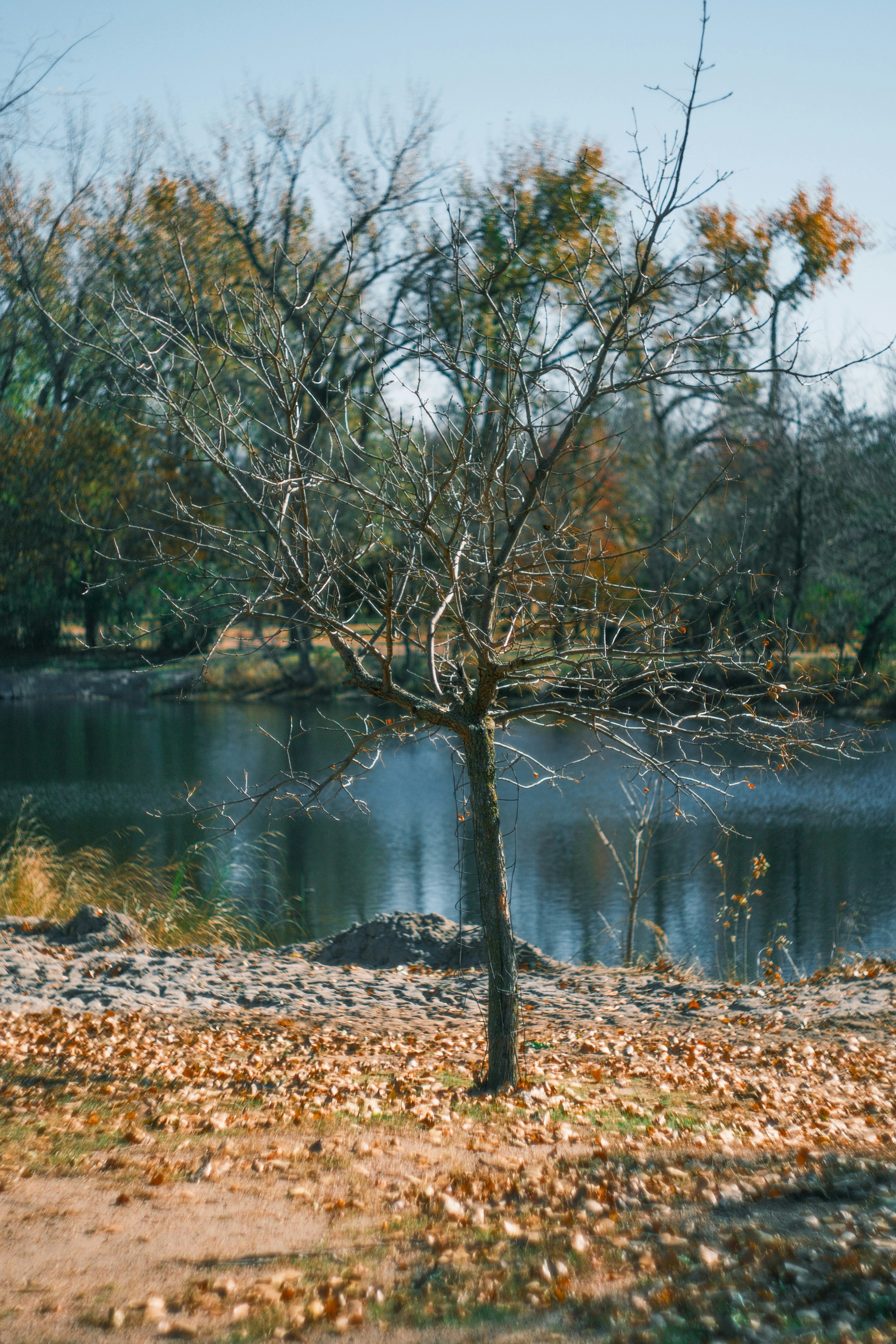 Photo by consoledotlog