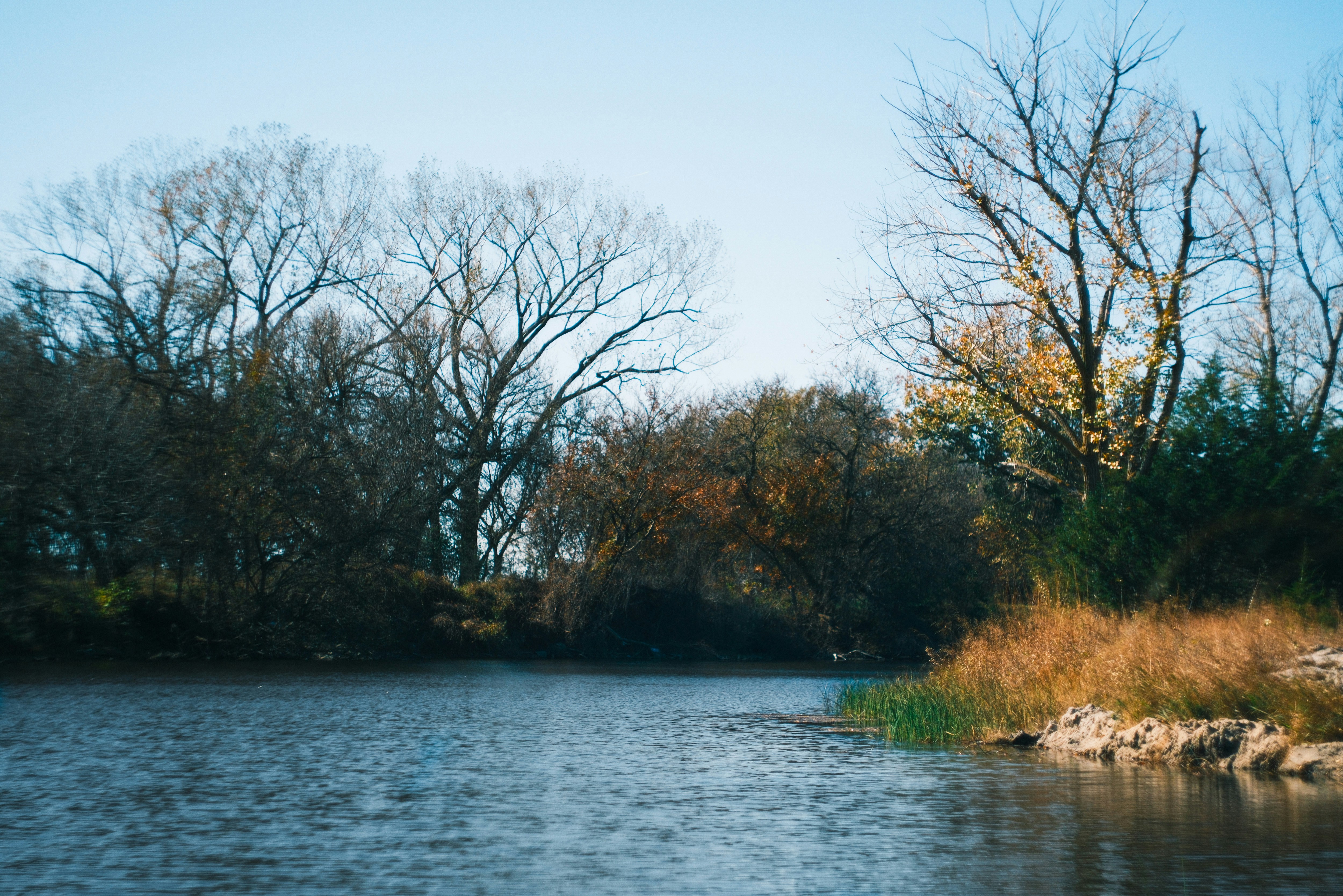 Photo by consoledotlog