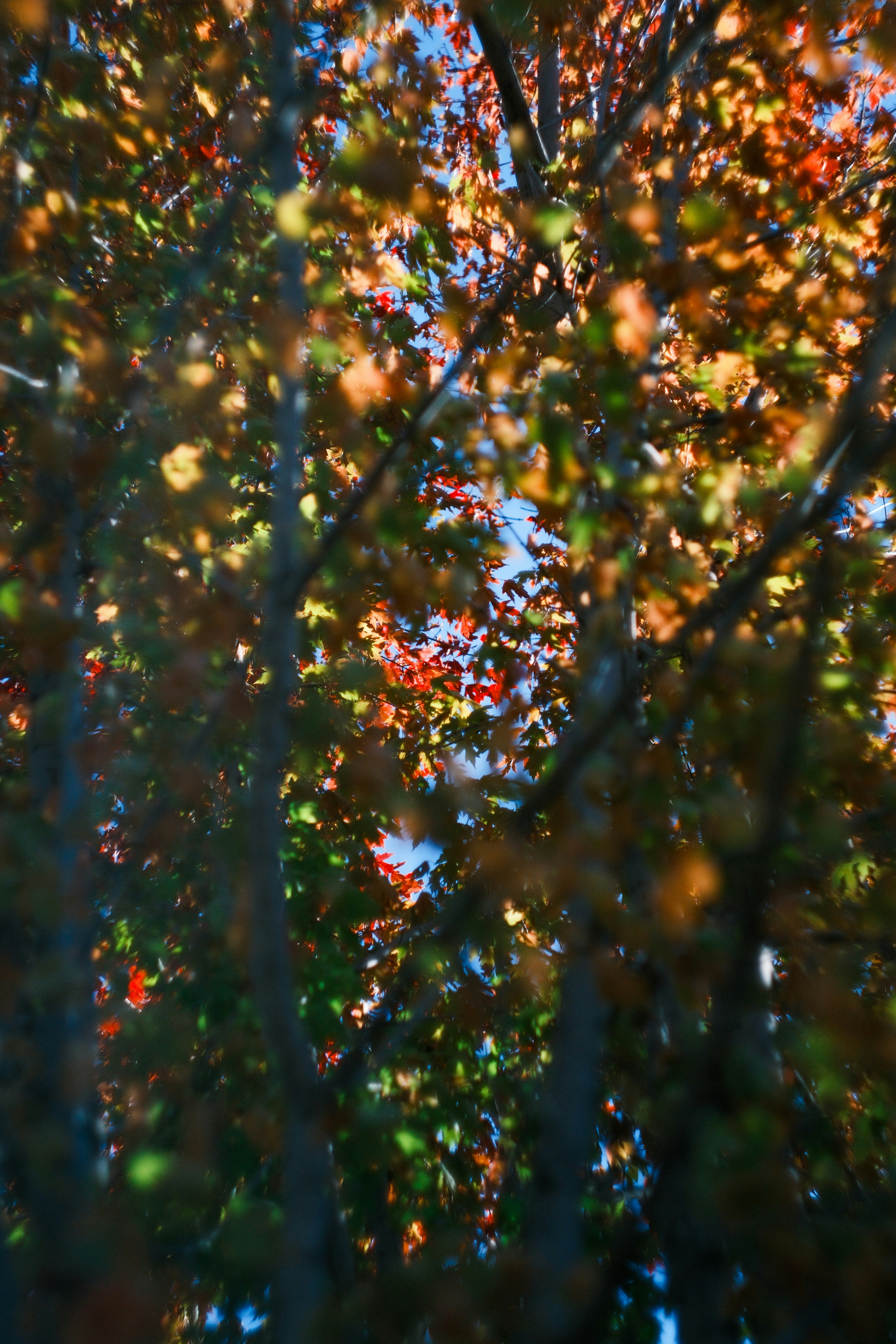 Photo by consoledotlog