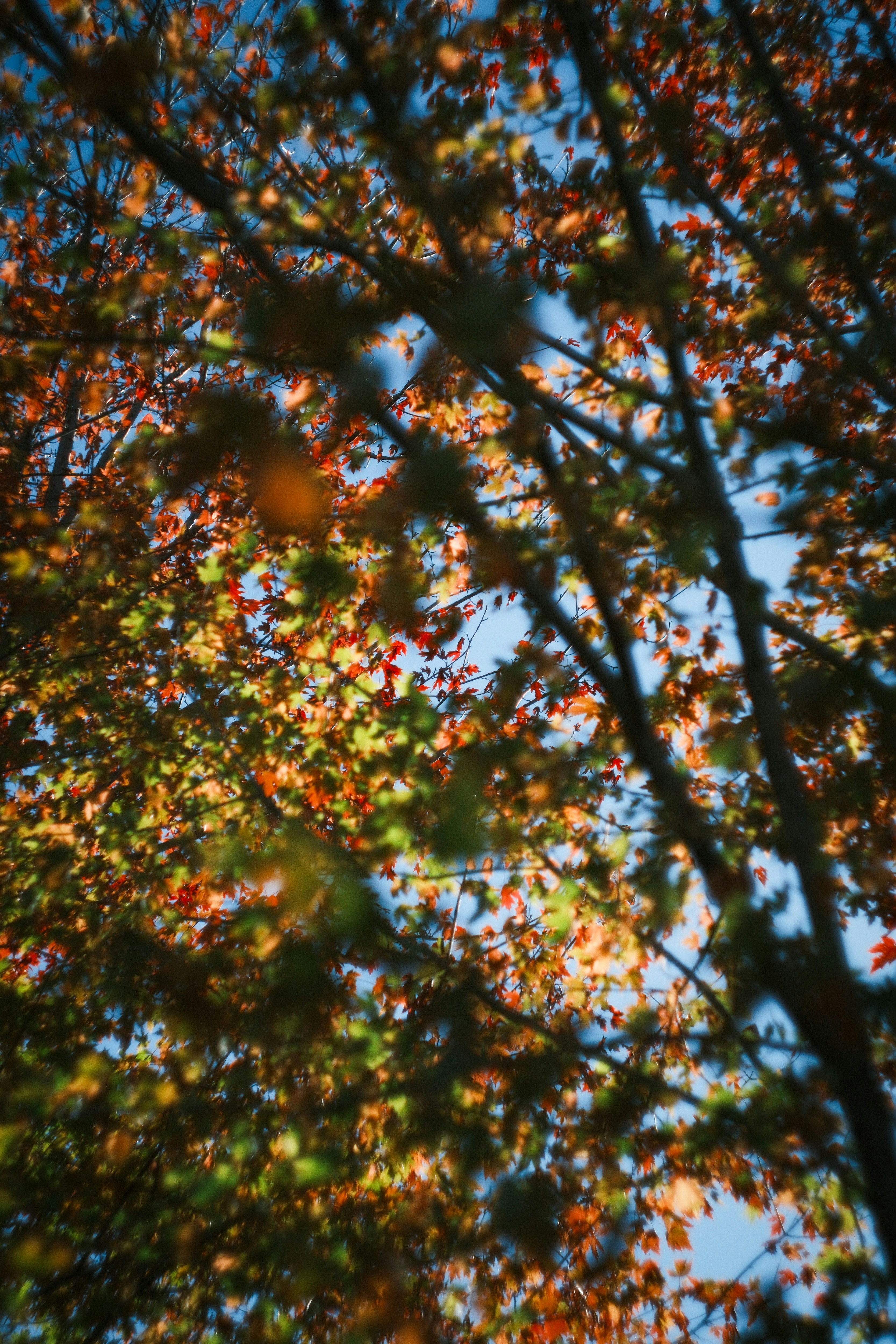 Photo by consoledotlog