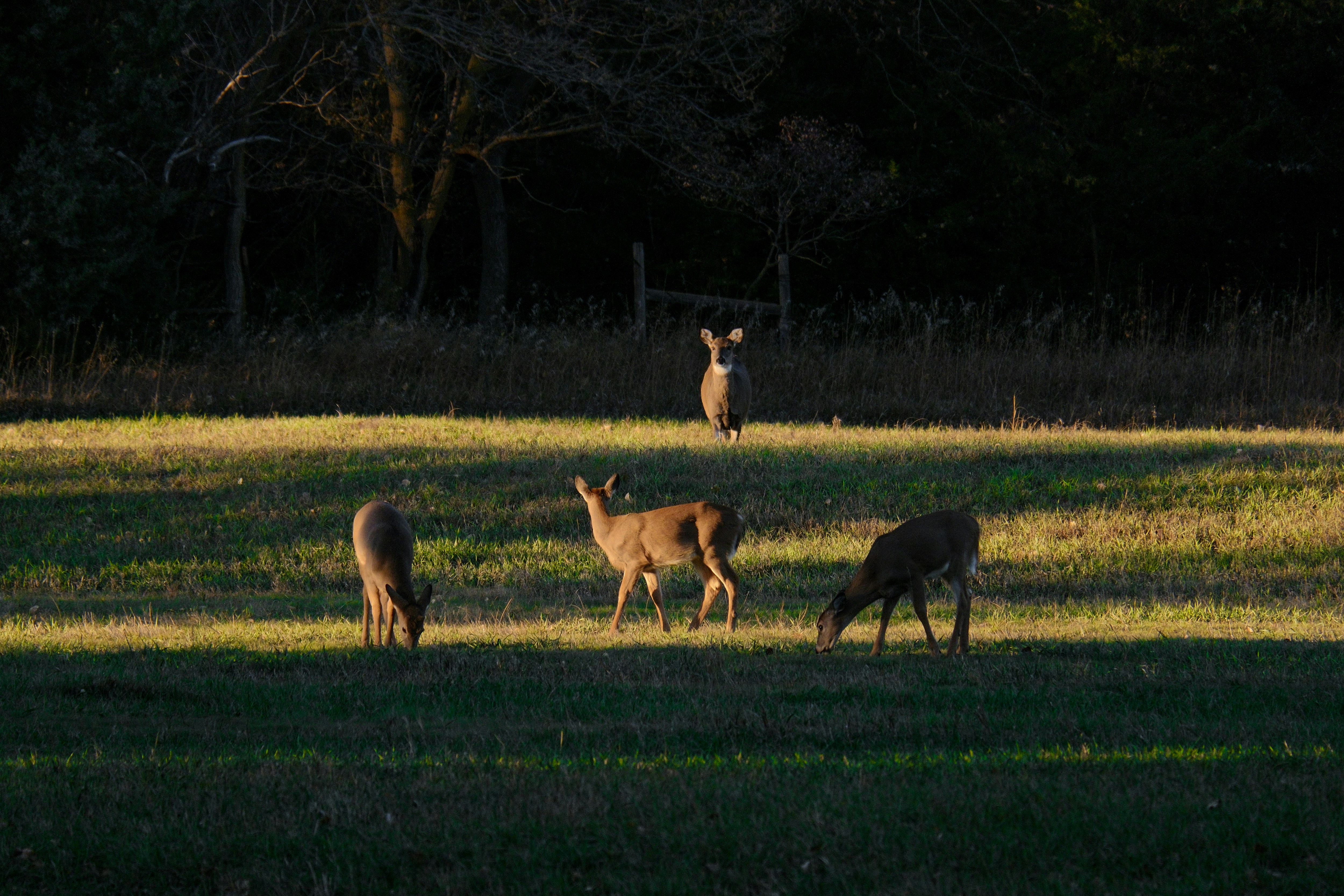 Photo by consoledotlog