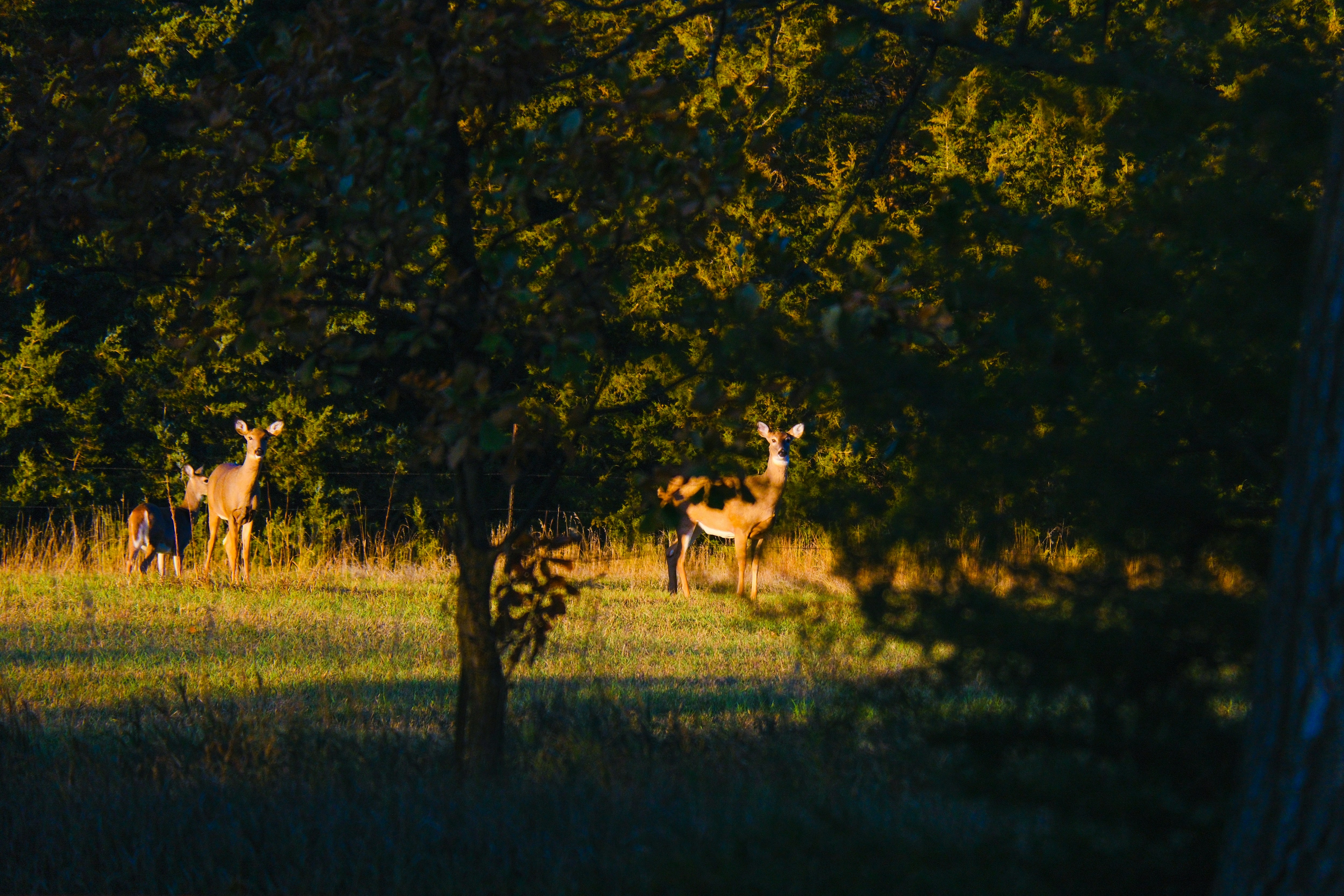 Photo by consoledotlog