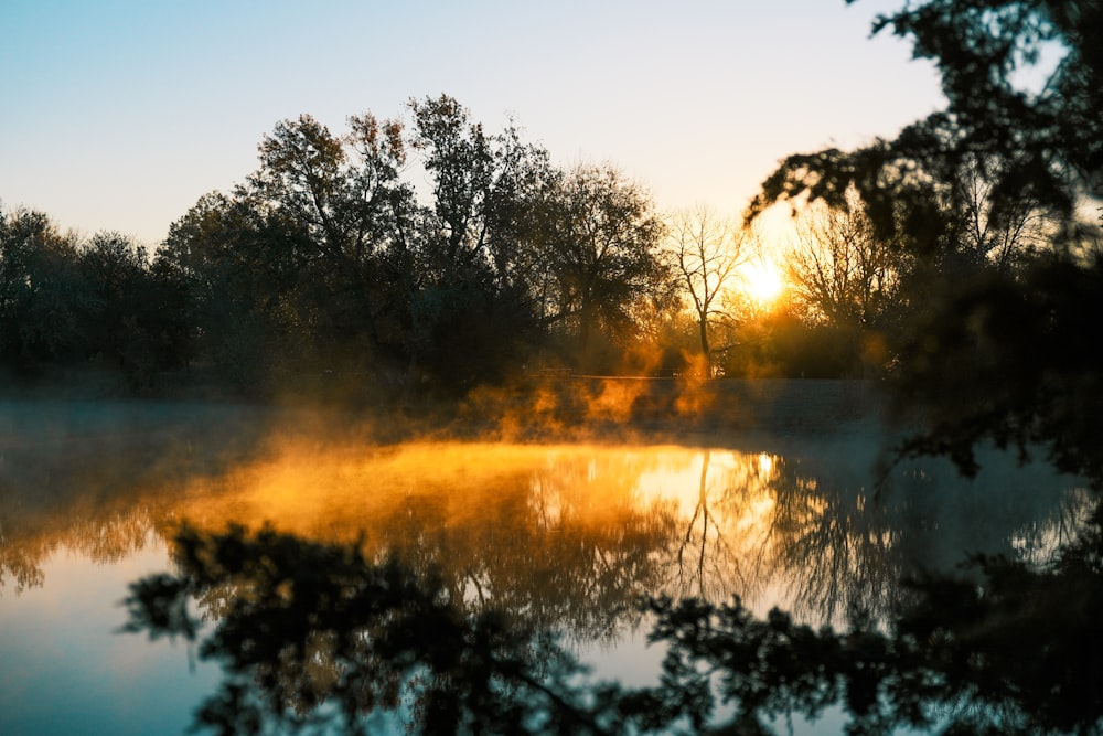 a foggy lake with trees in the background