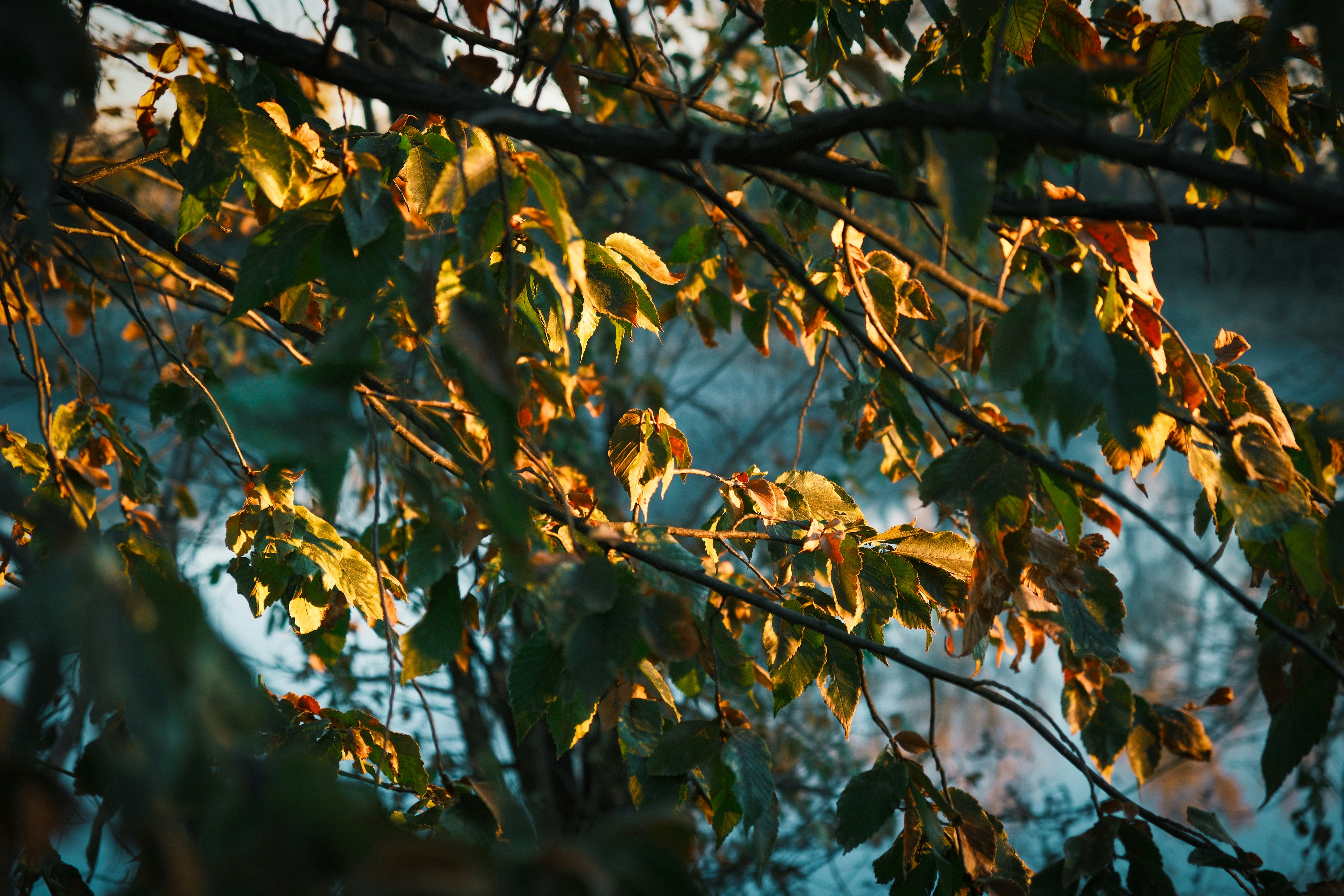 Photo by consoledotlog