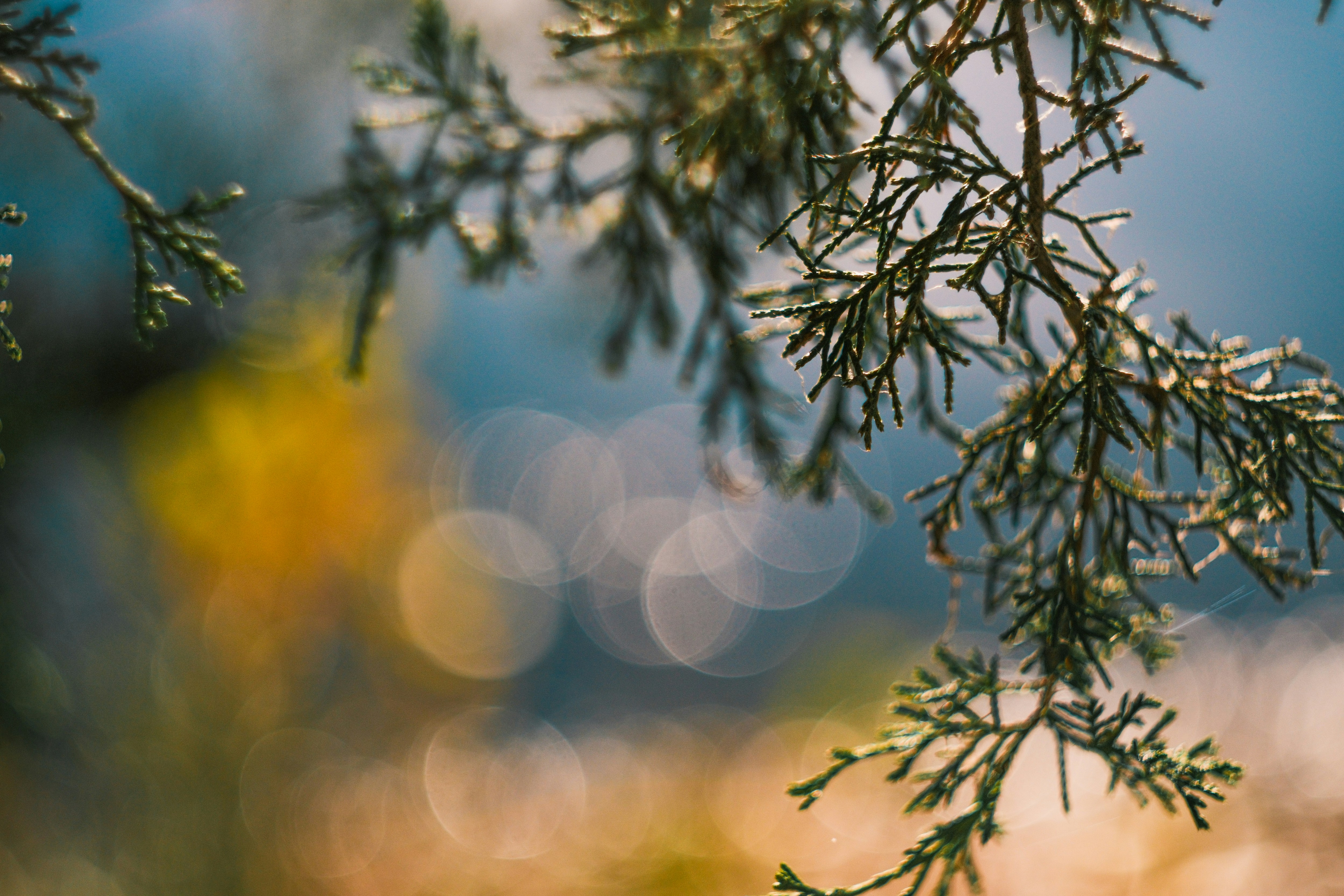 Photo by consoledotlog