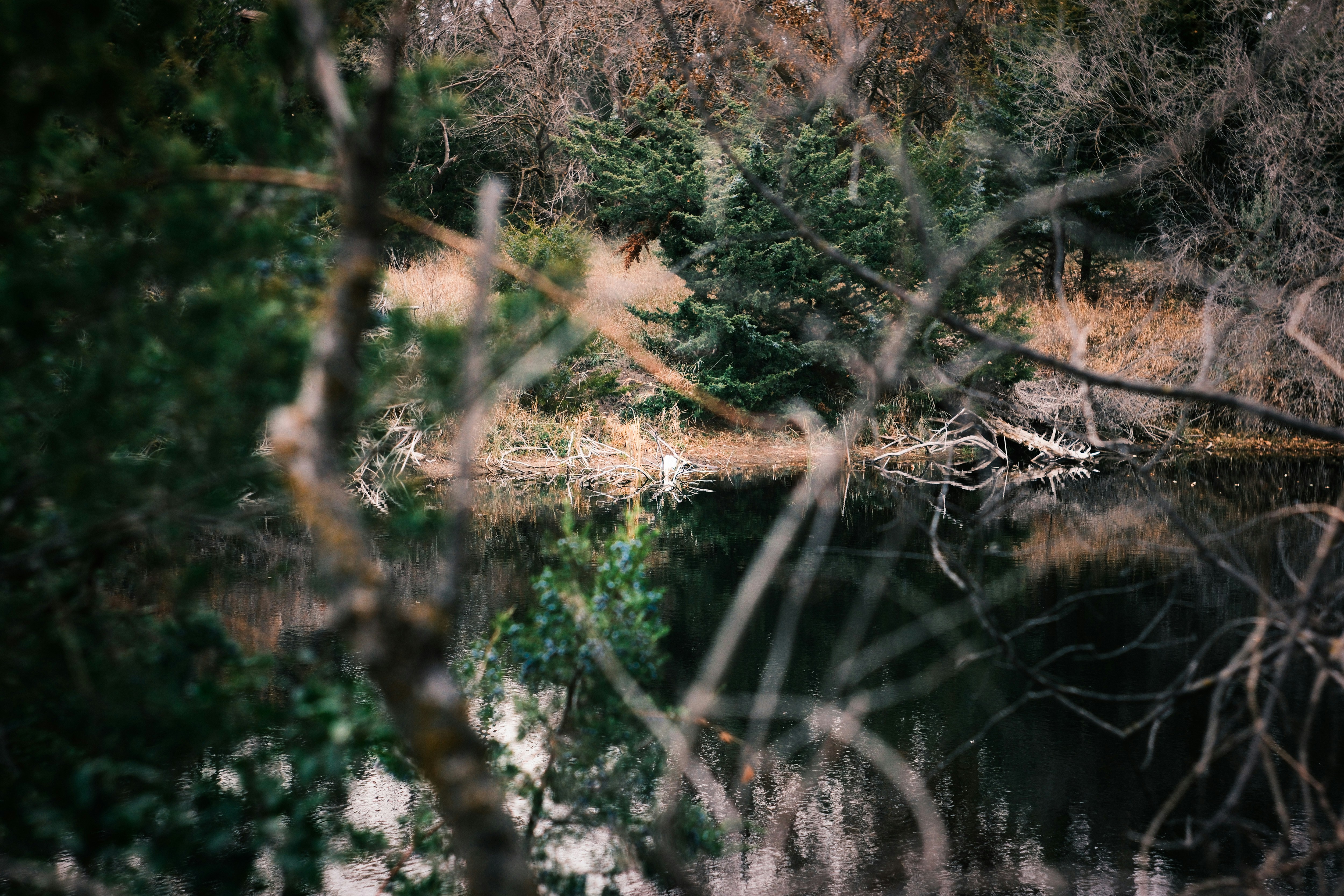 Photo by consoledotlog