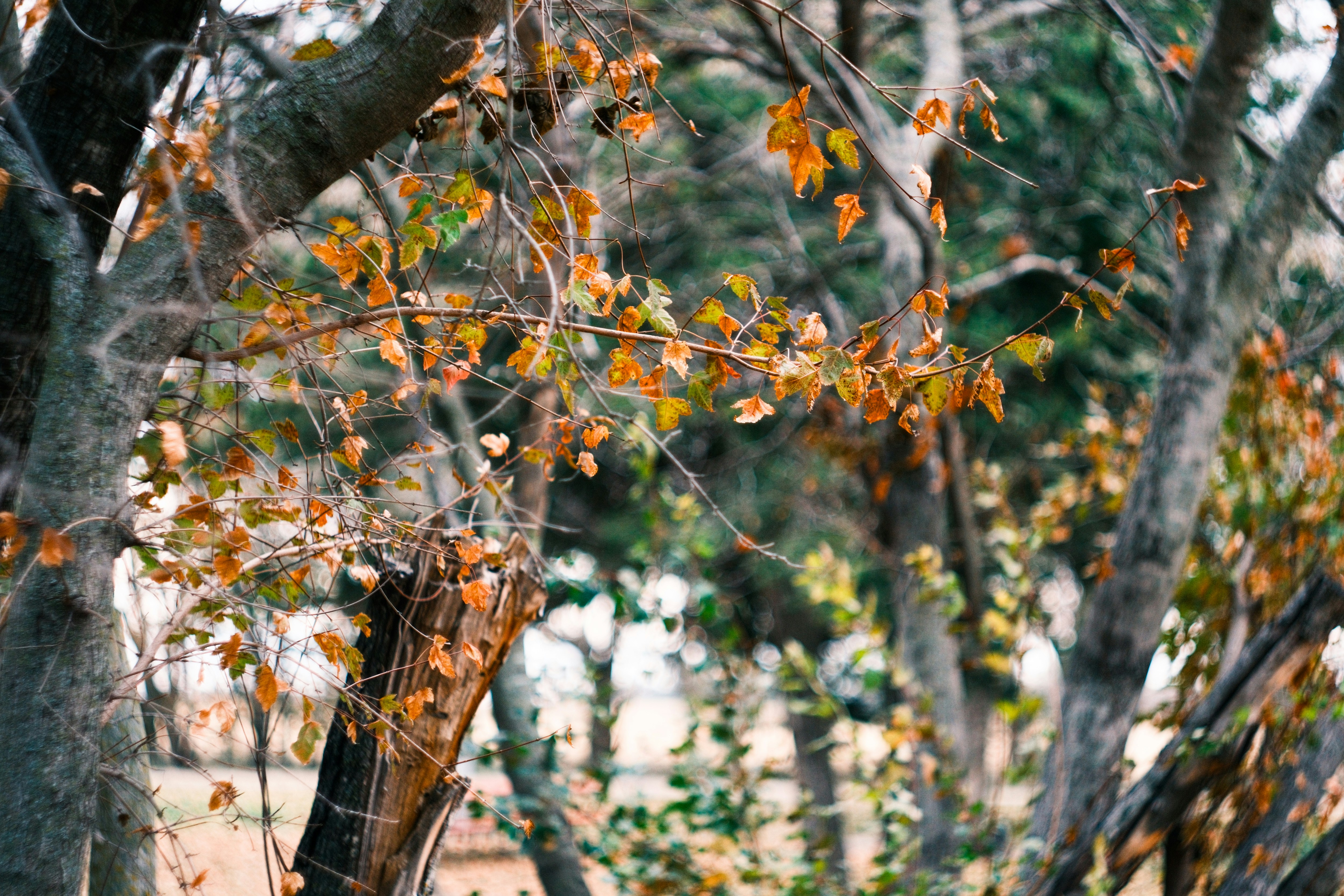 Photo by consoledotlog