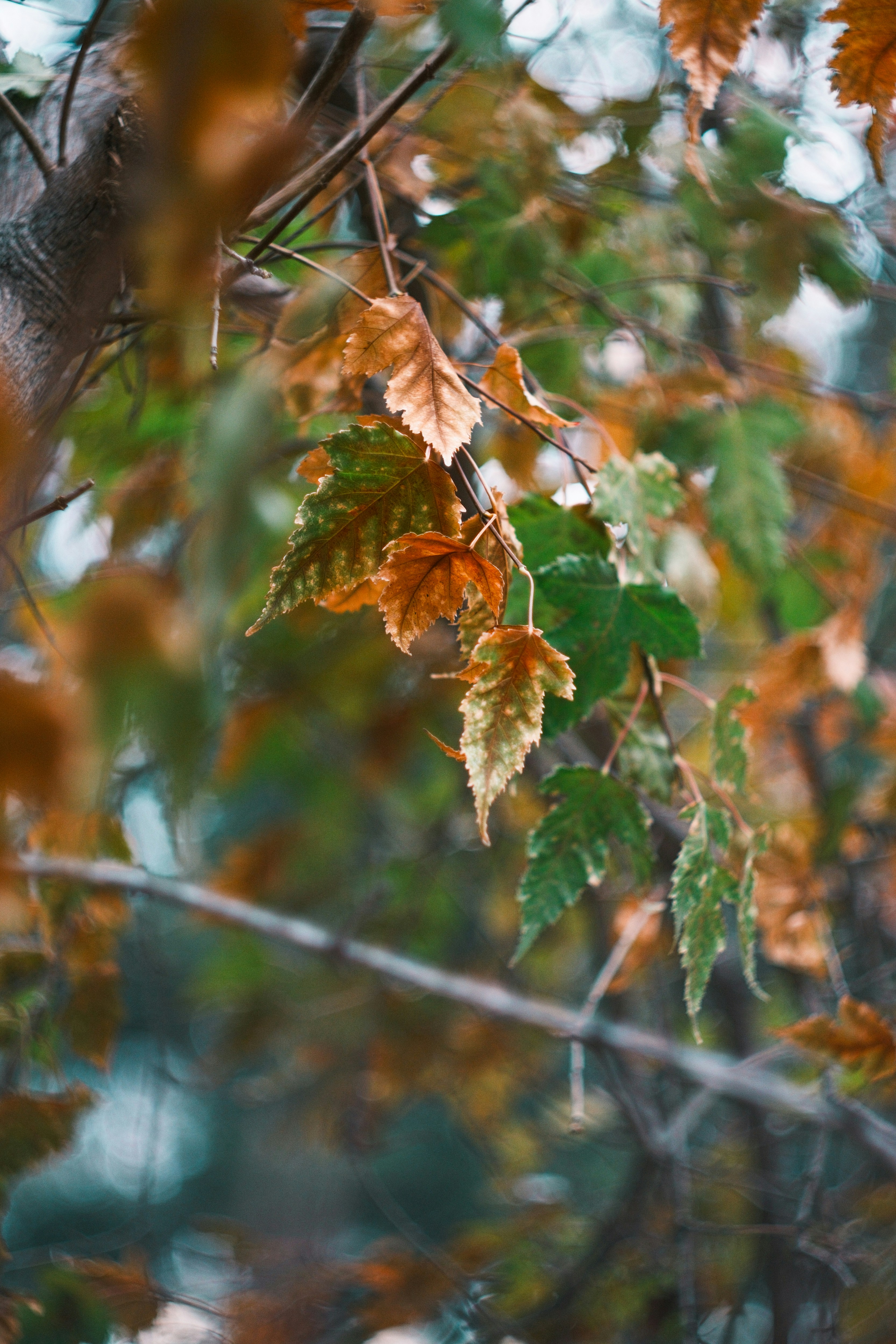 Photo by consoledotlog