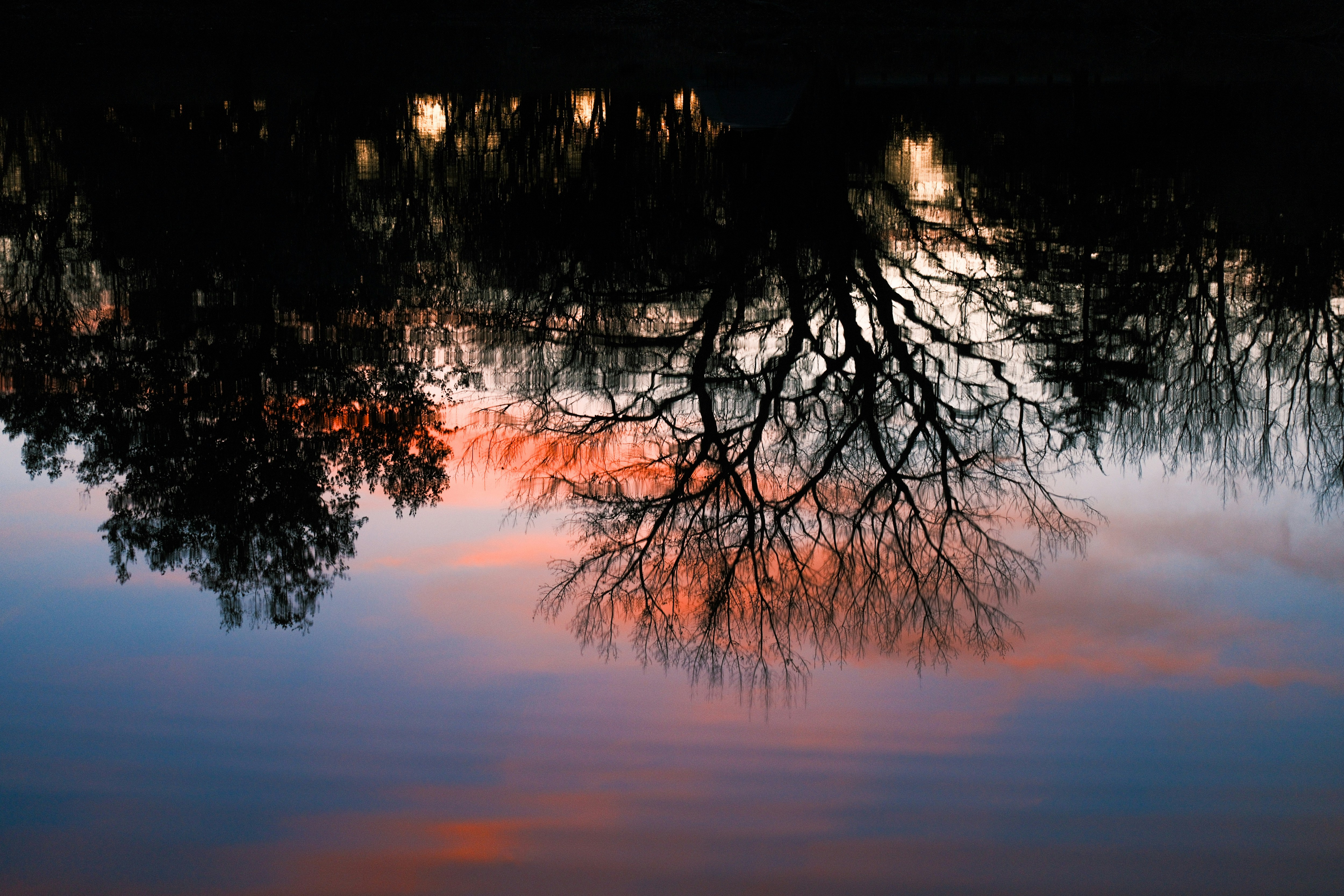 Photo by consoledotlog