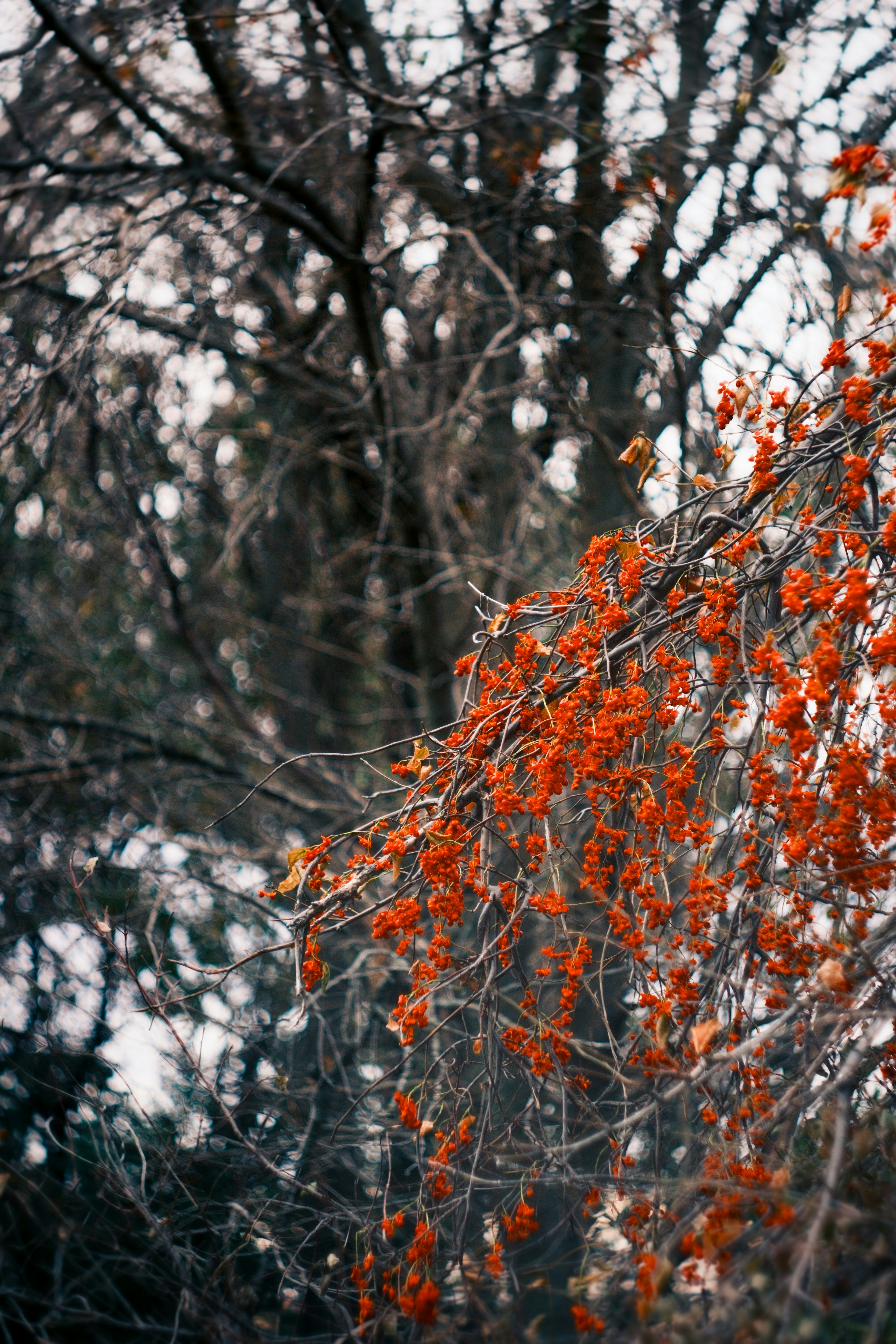 Photo by consoledotlog