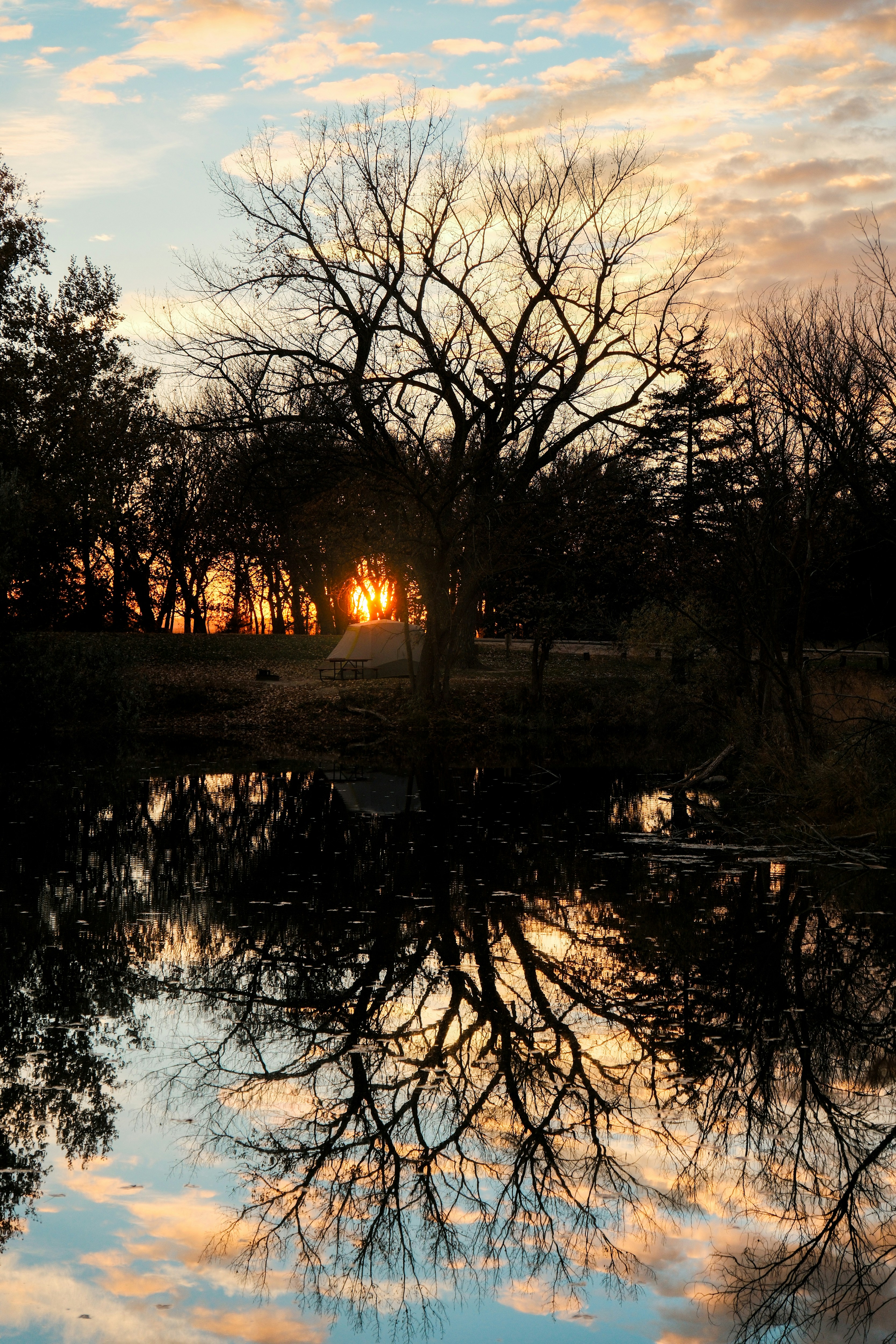 Photo by consoledotlog