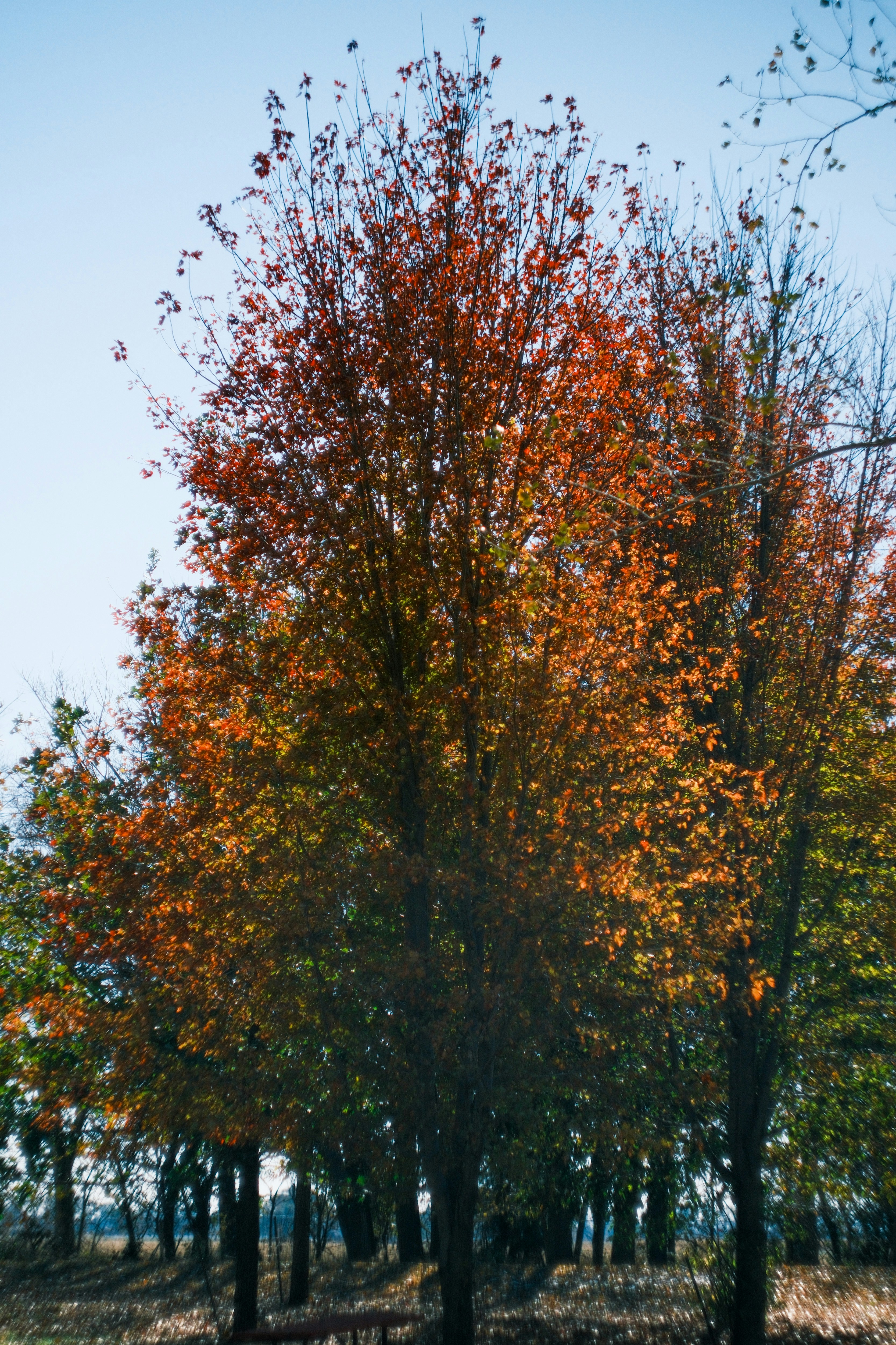 Photo by consoledotlog