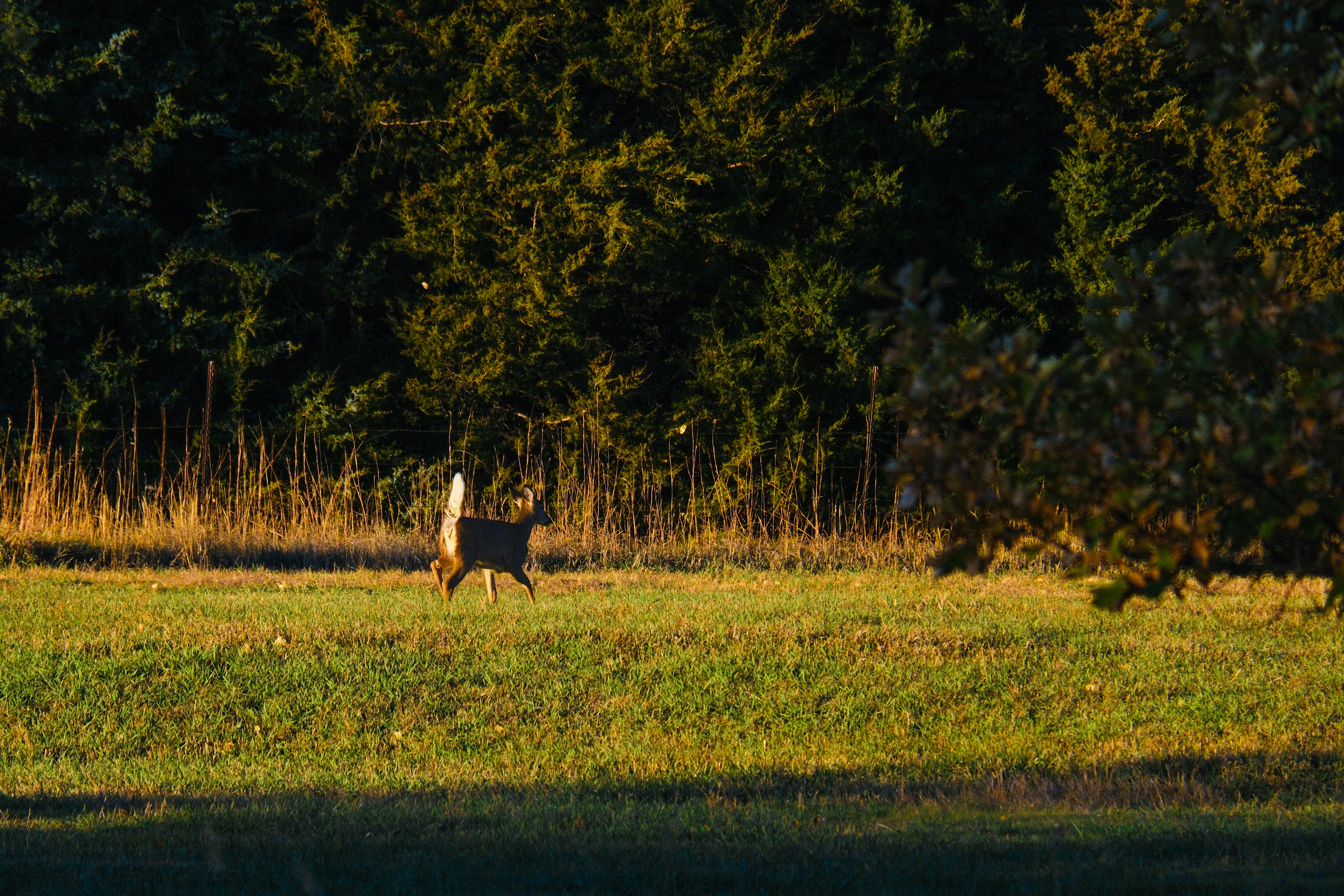 Photo by consoledotlog