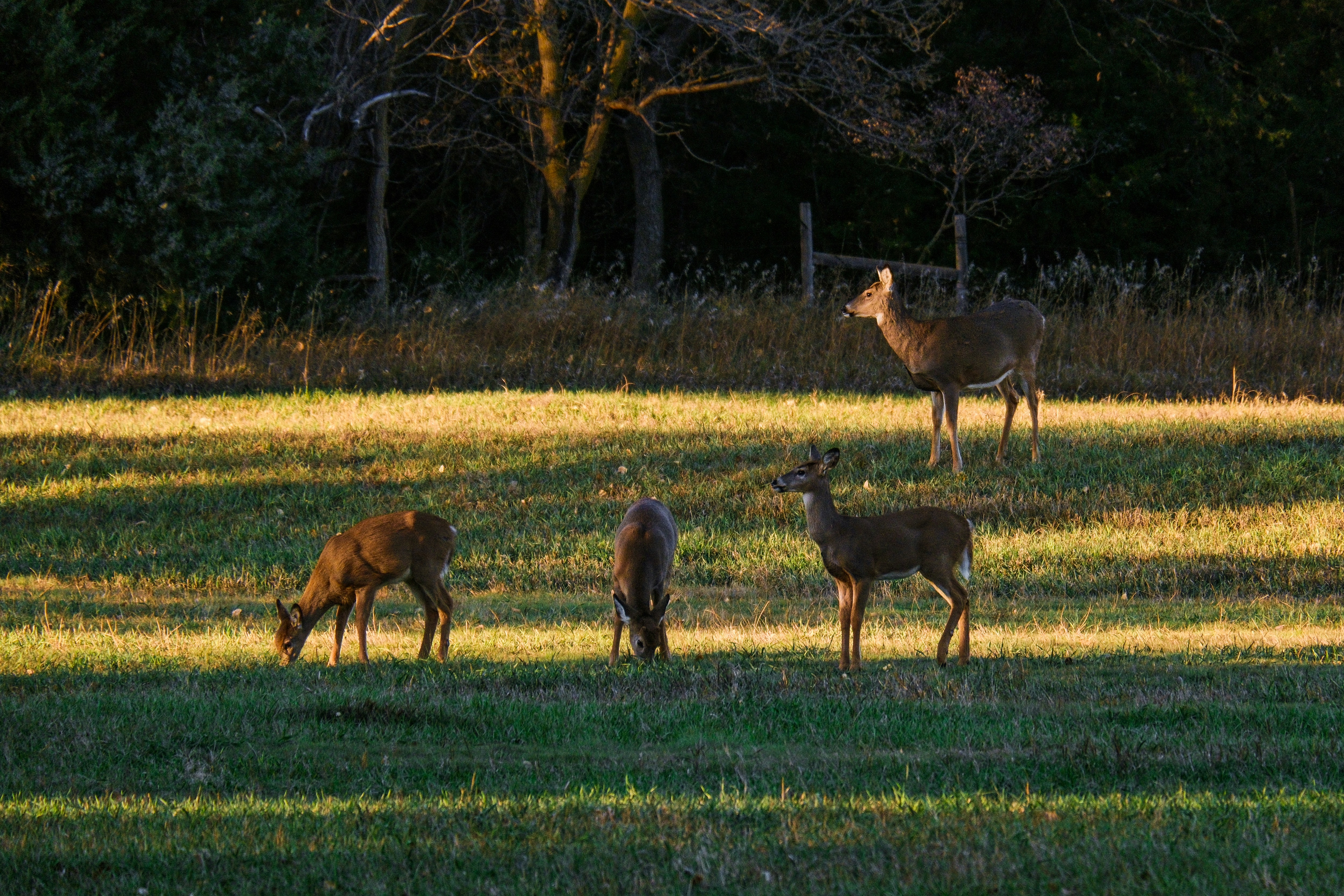 Photo by consoledotlog