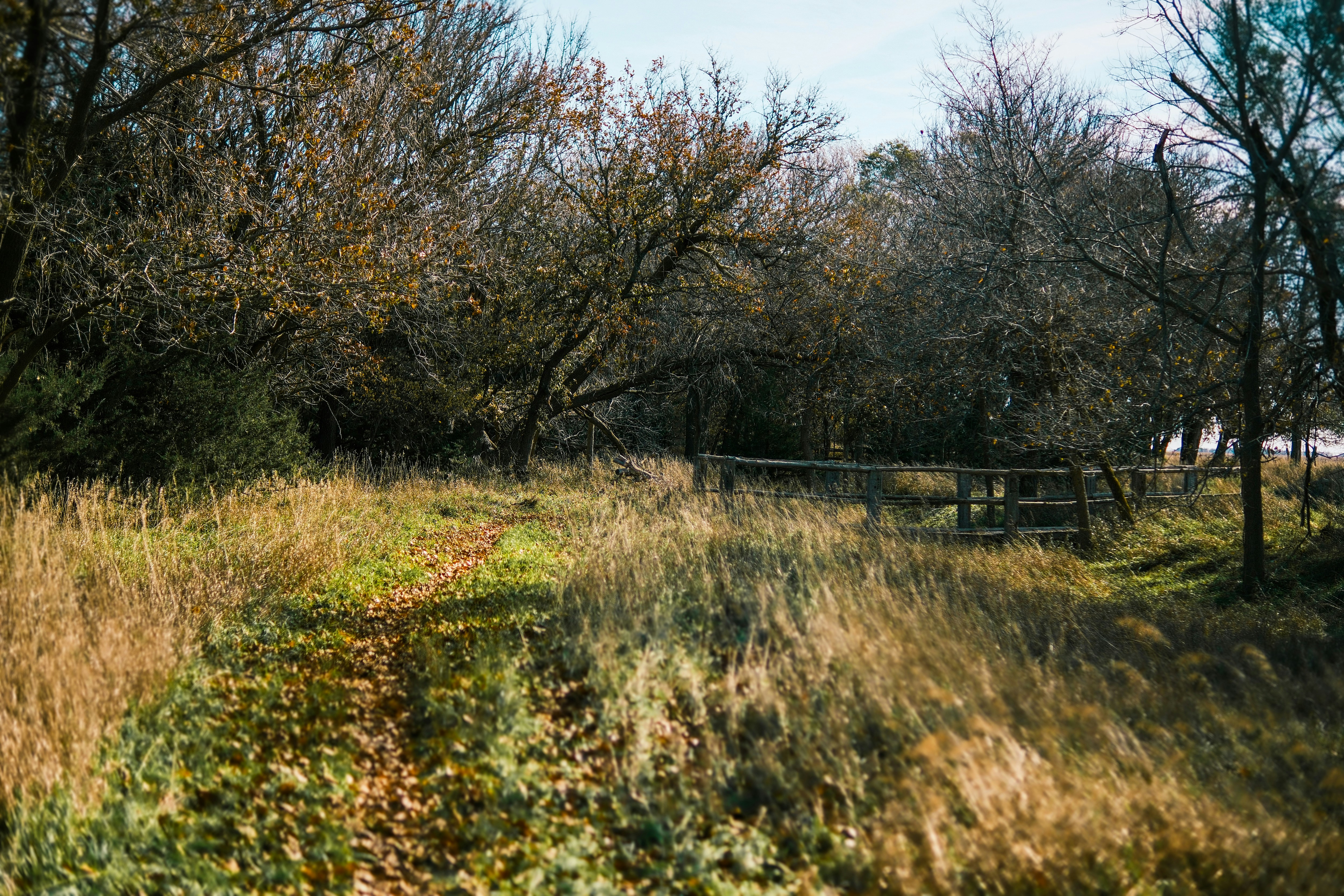 Photo by consoledotlog