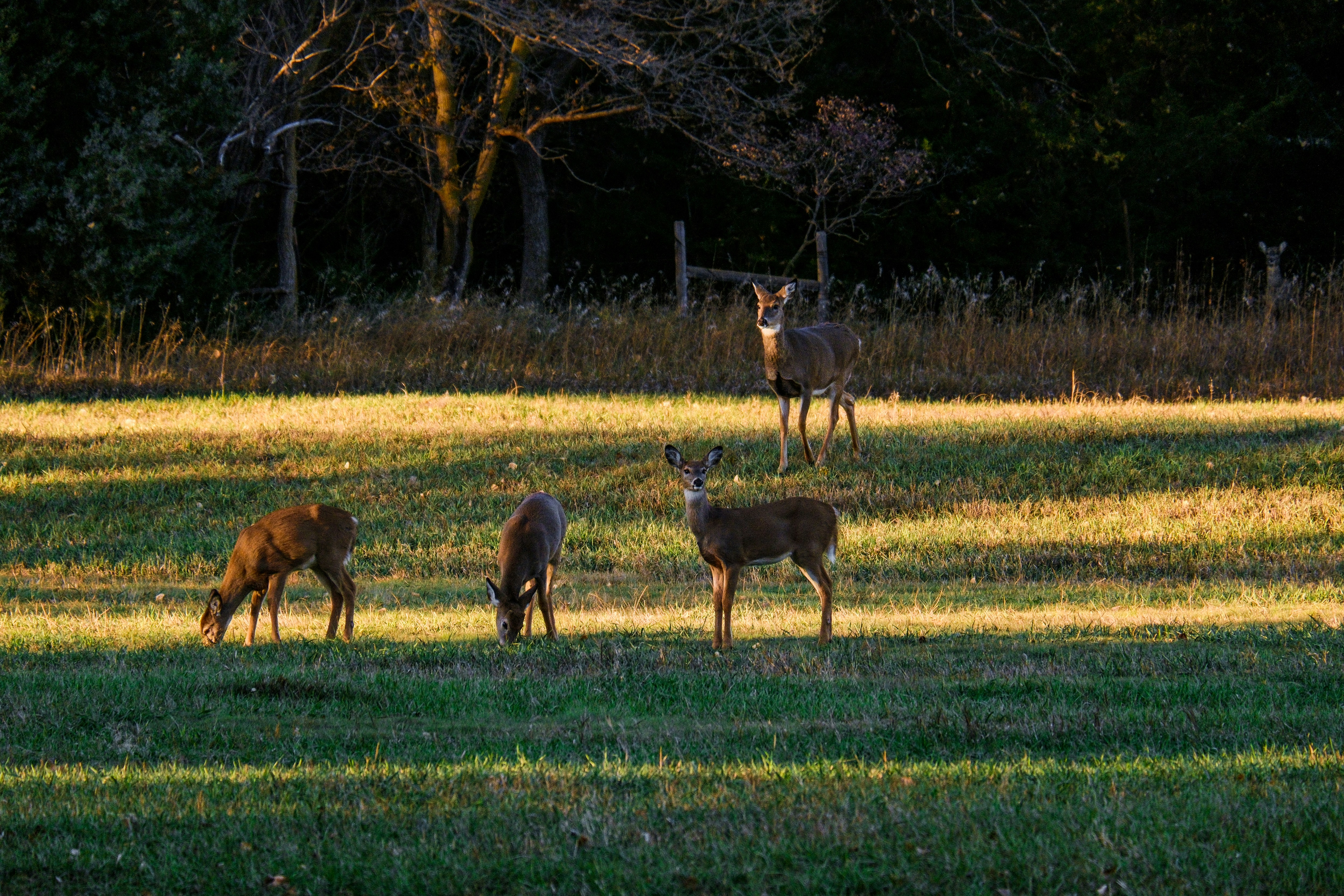 Photo by consoledotlog