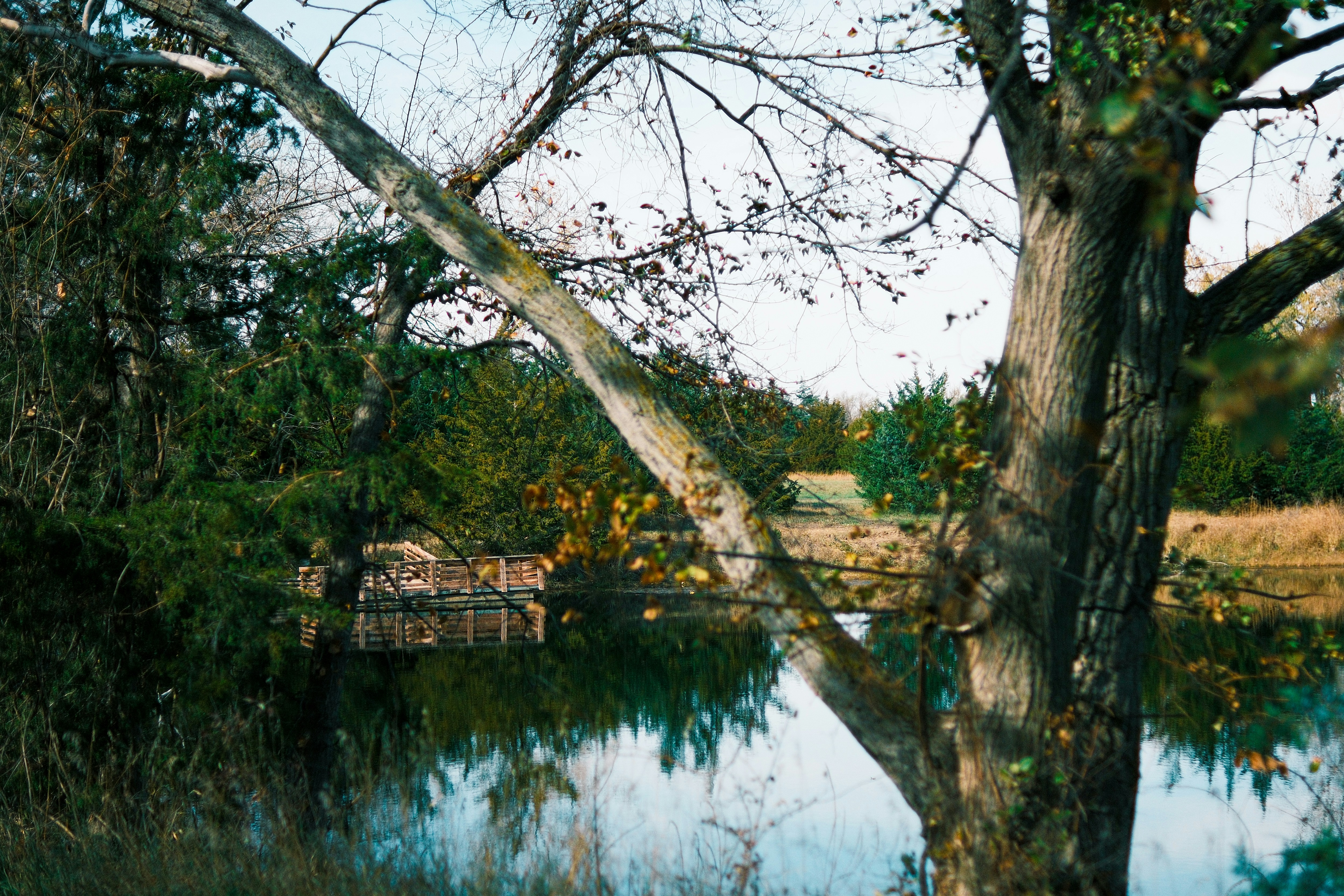 Photo by consoledotlog