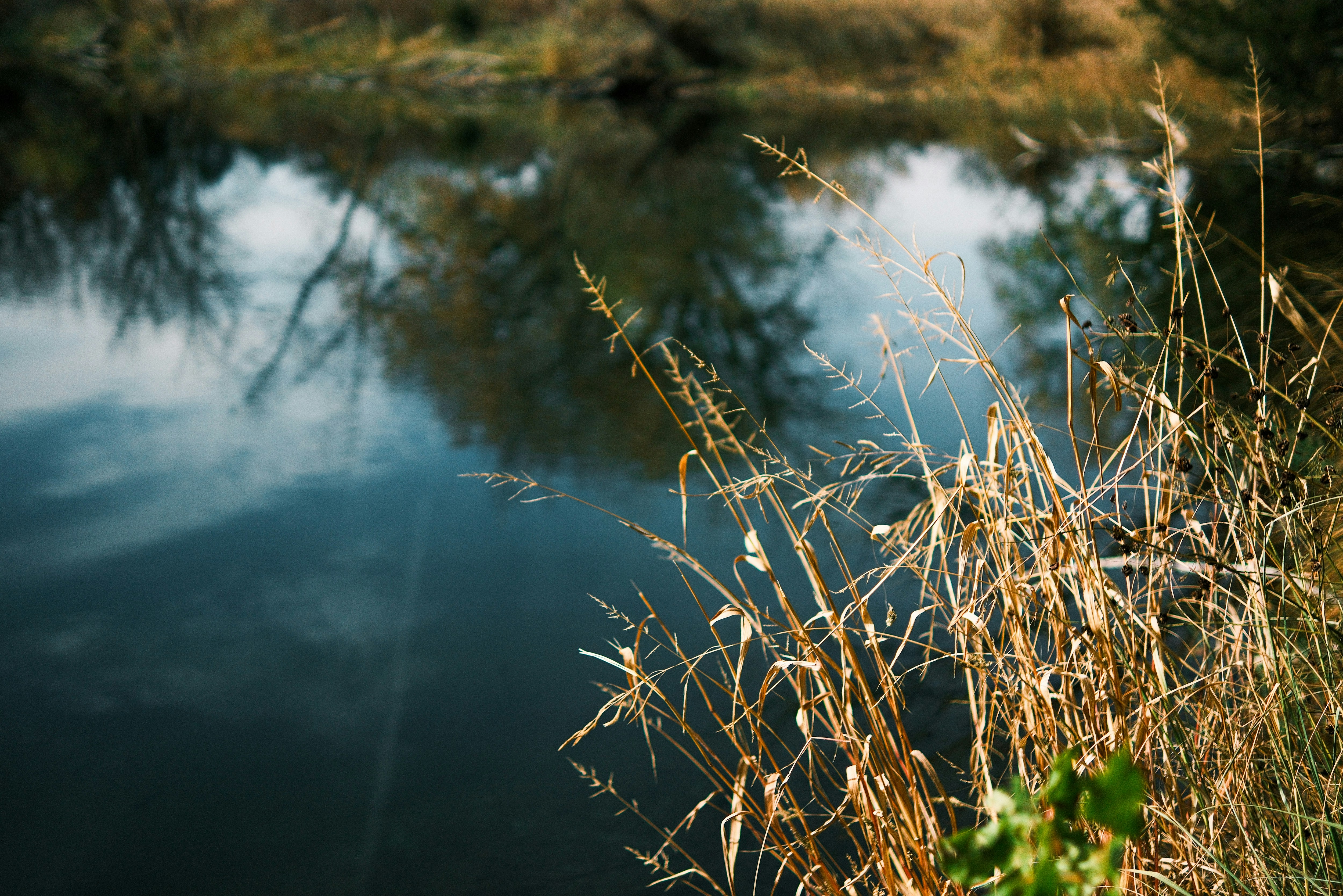 Photo by consoledotlog