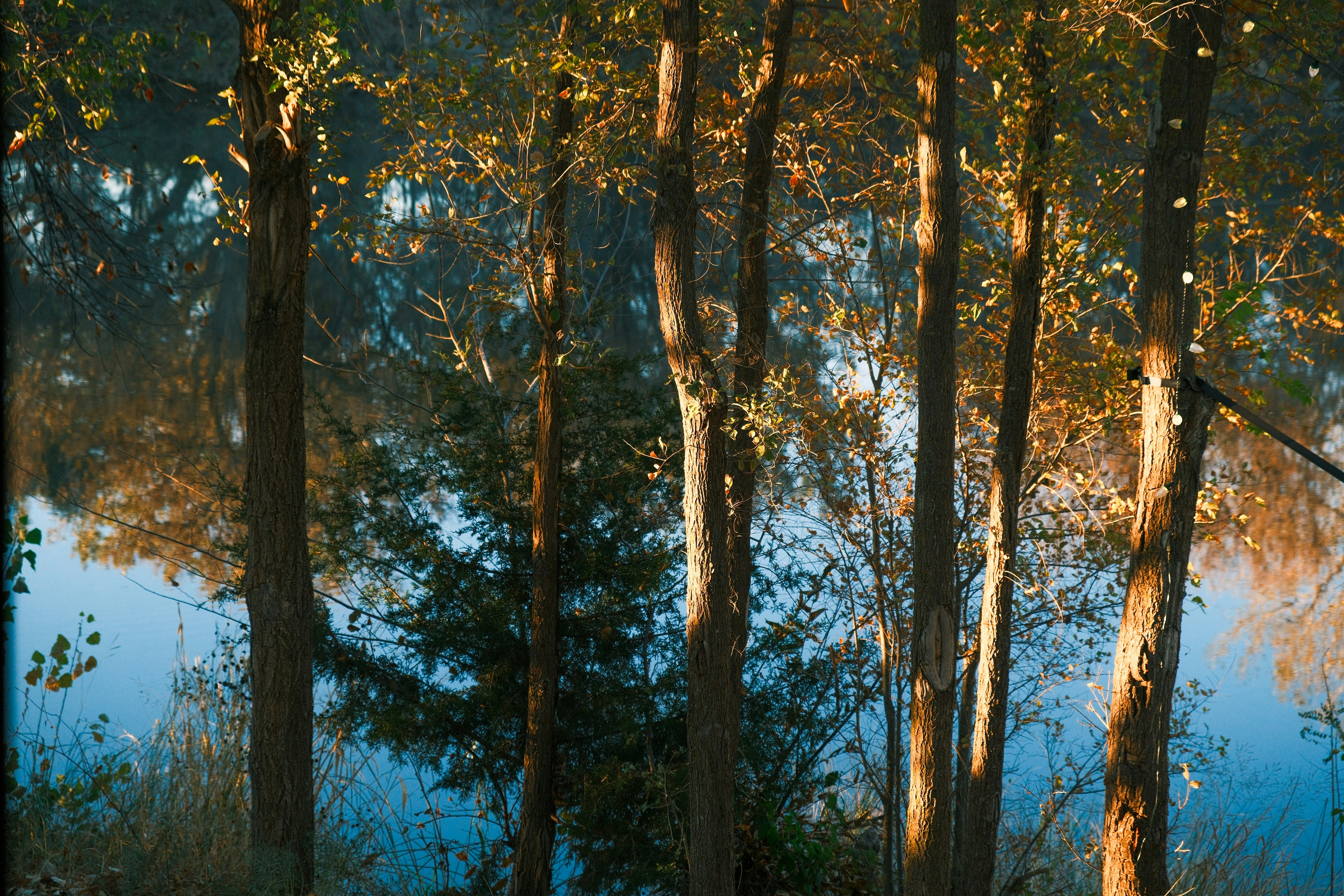 Photo by consoledotlog