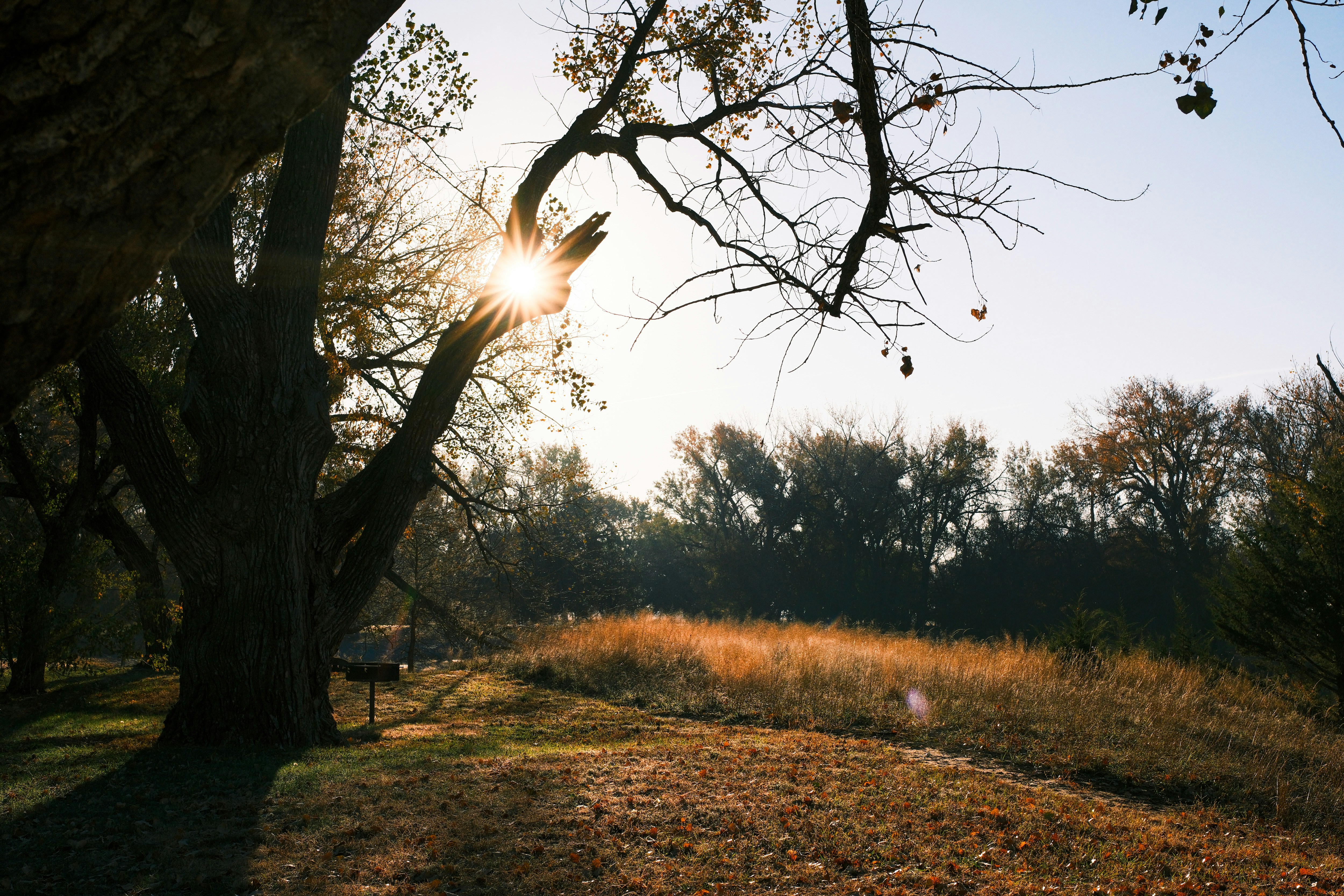 Photo by consoledotlog