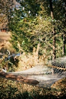 A cozy bivouac setup high in the branches, with hammocks and soft lighting at dusk.