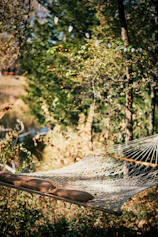 Sunlit hammock hanging between two trees on a quiet natural trail near the cabins.
