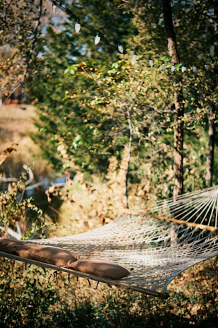 Sunlit hammock hanging between two trees on a quiet natural trail near the cabins.