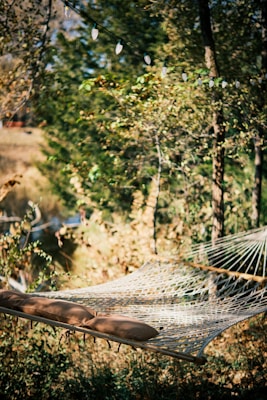 A cozy hammock with brown cushions is suspended among green and leafy trees. A string of lights is hanging above, adding charm to the natural setting. Soft sunlight filters through the foliage, casting gentle shadows on the ground.
