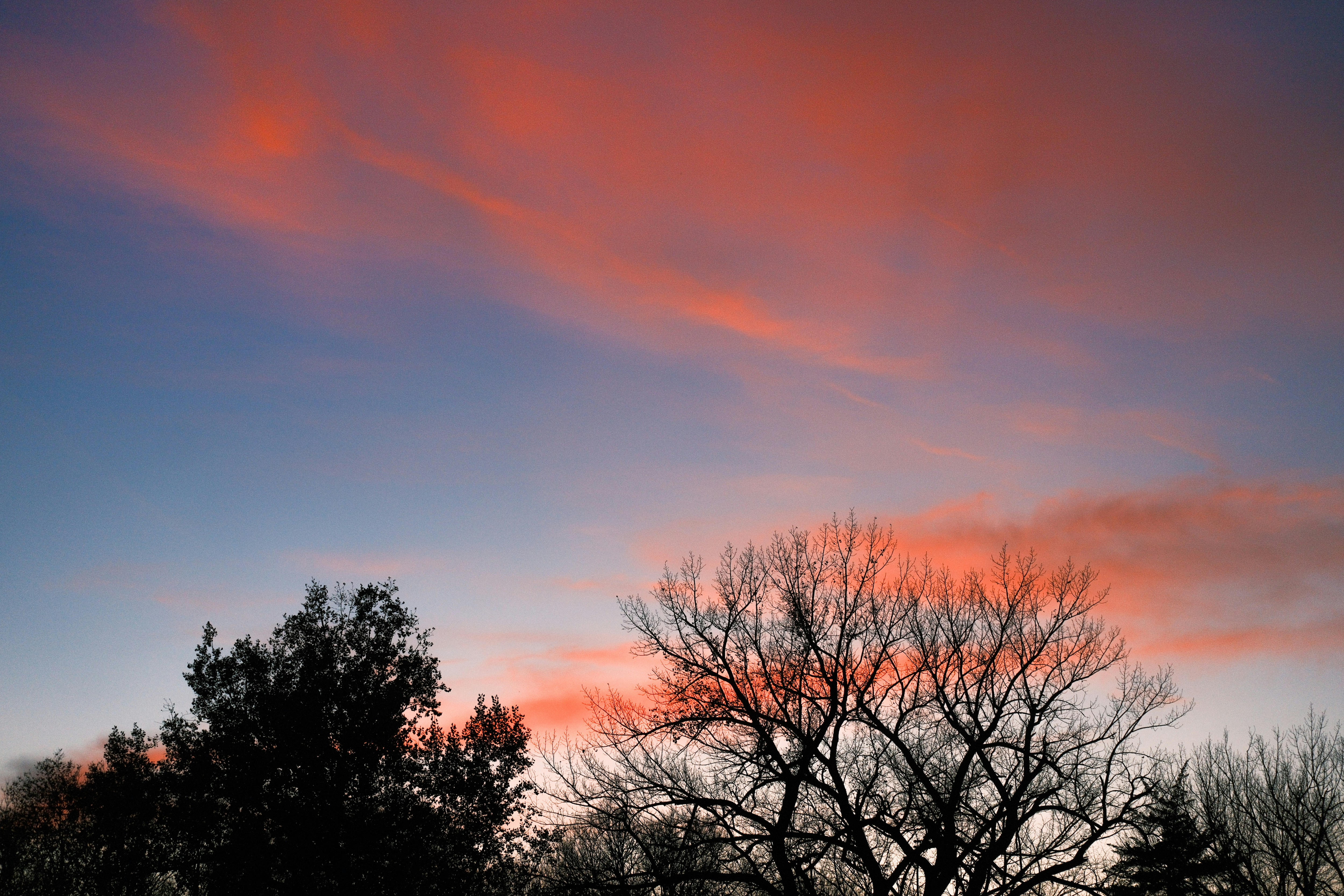 Photo by consoledotlog