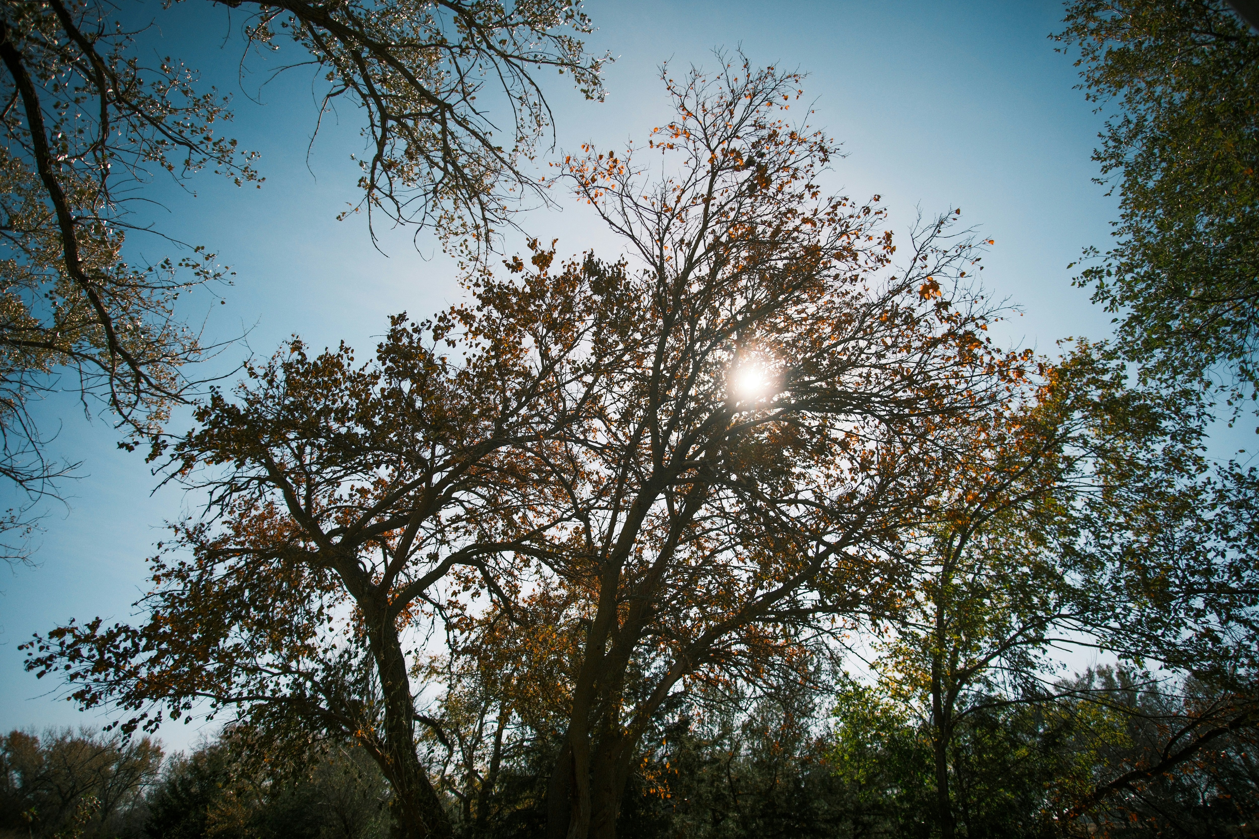 Photo by consoledotlog