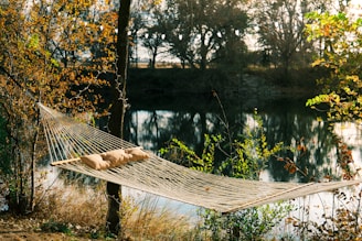 A hammock tied between two trees overlooking the river, inviting relaxation.