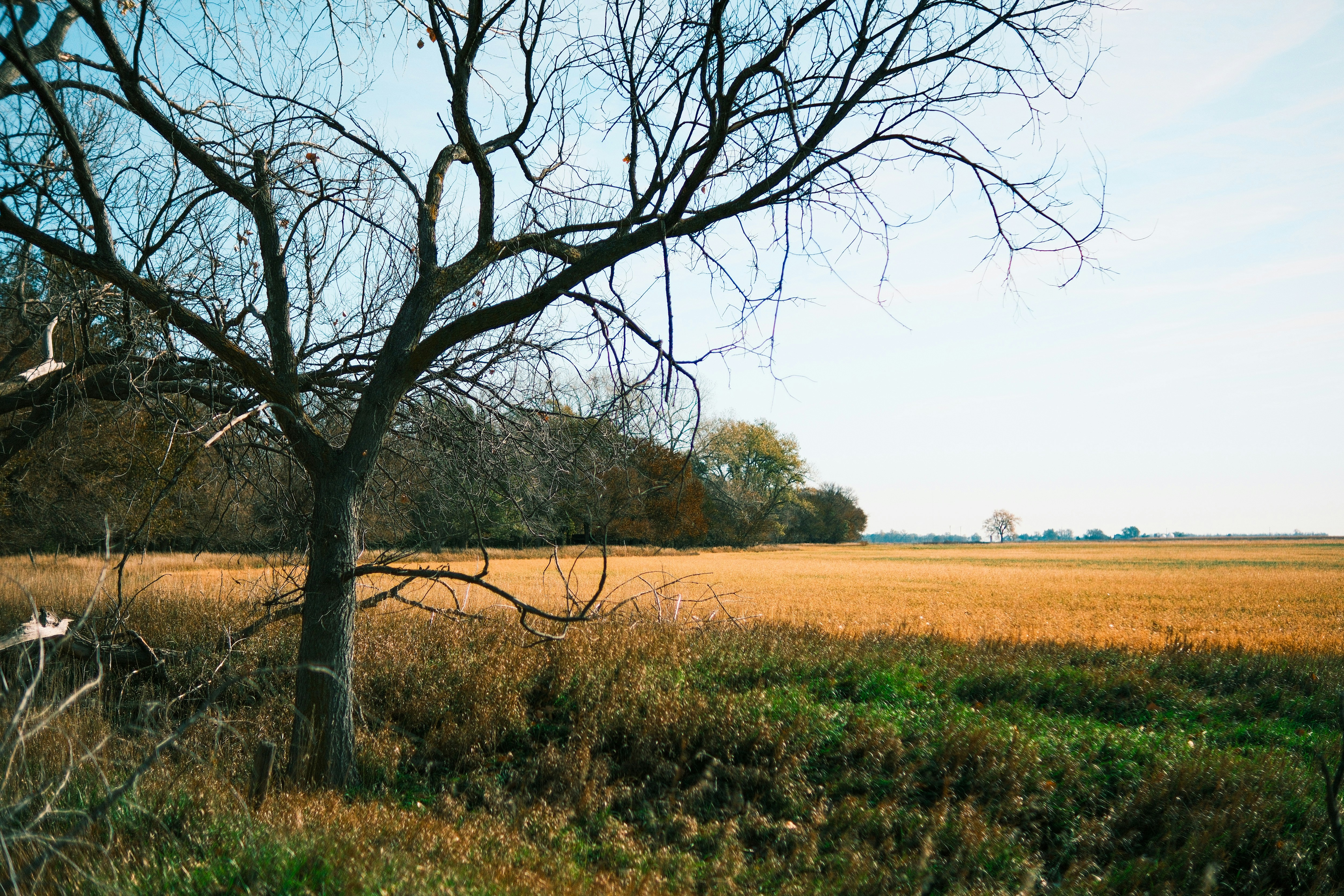 Photo by consoledotlog