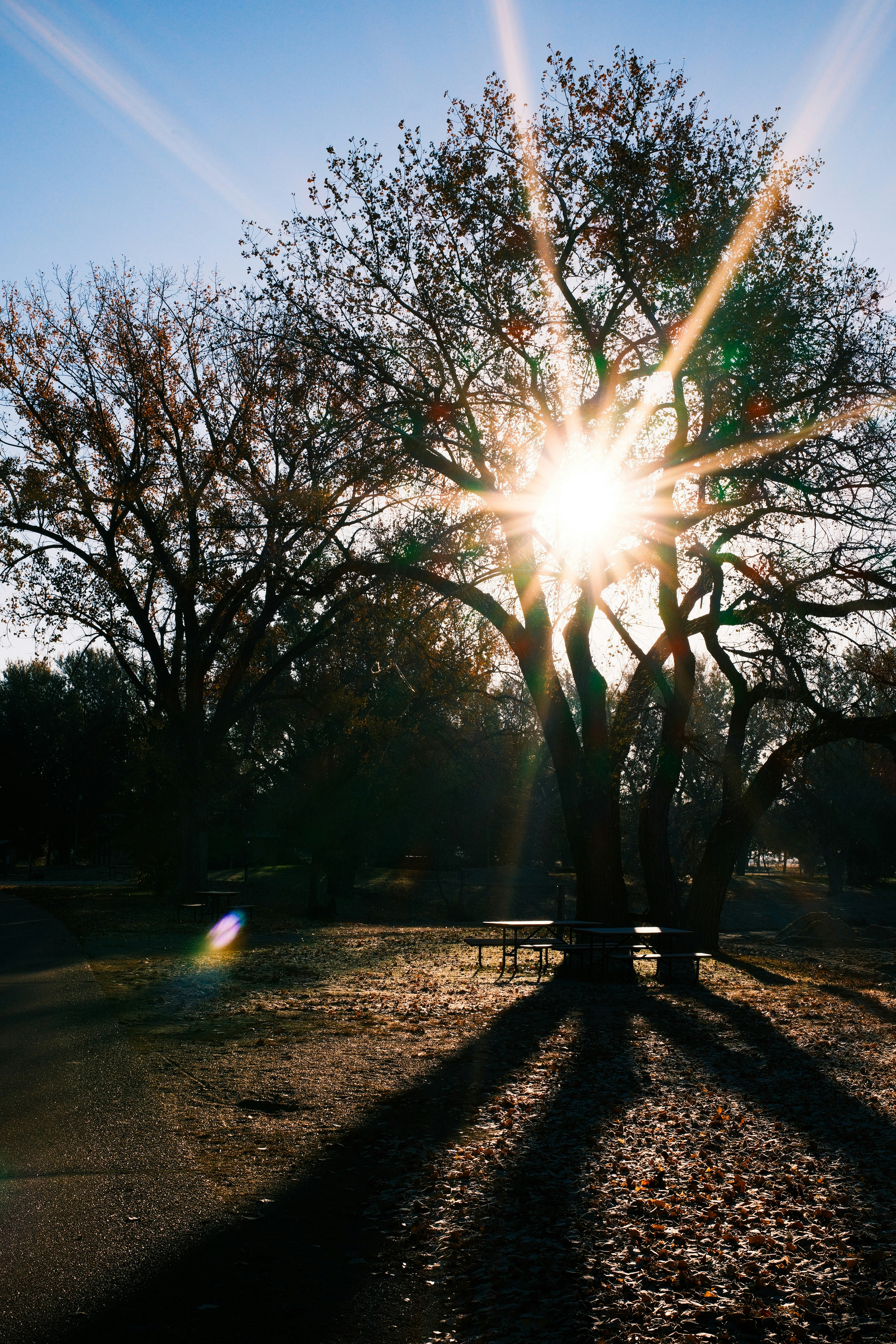 Photo by consoledotlog