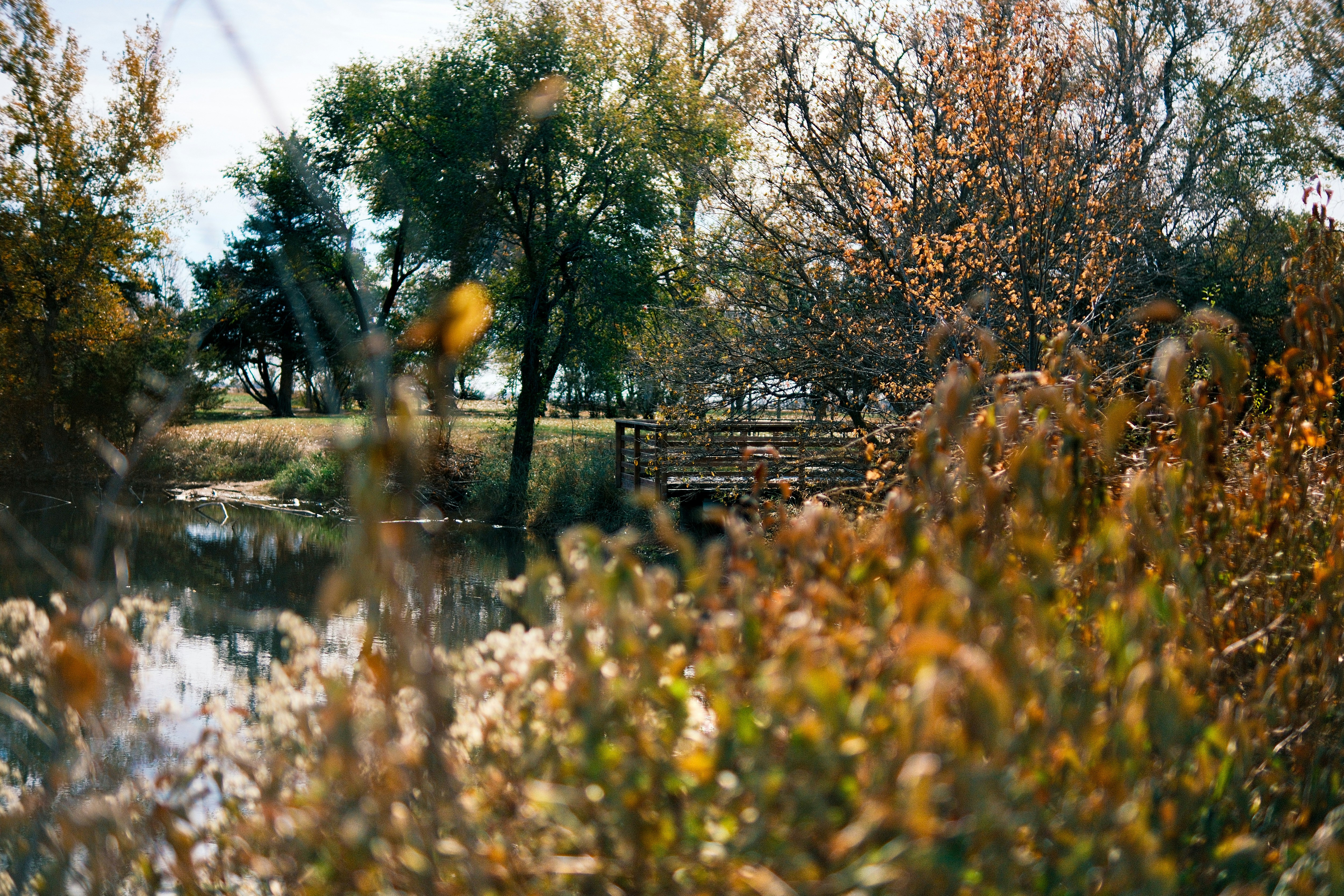 Photo by consoledotlog