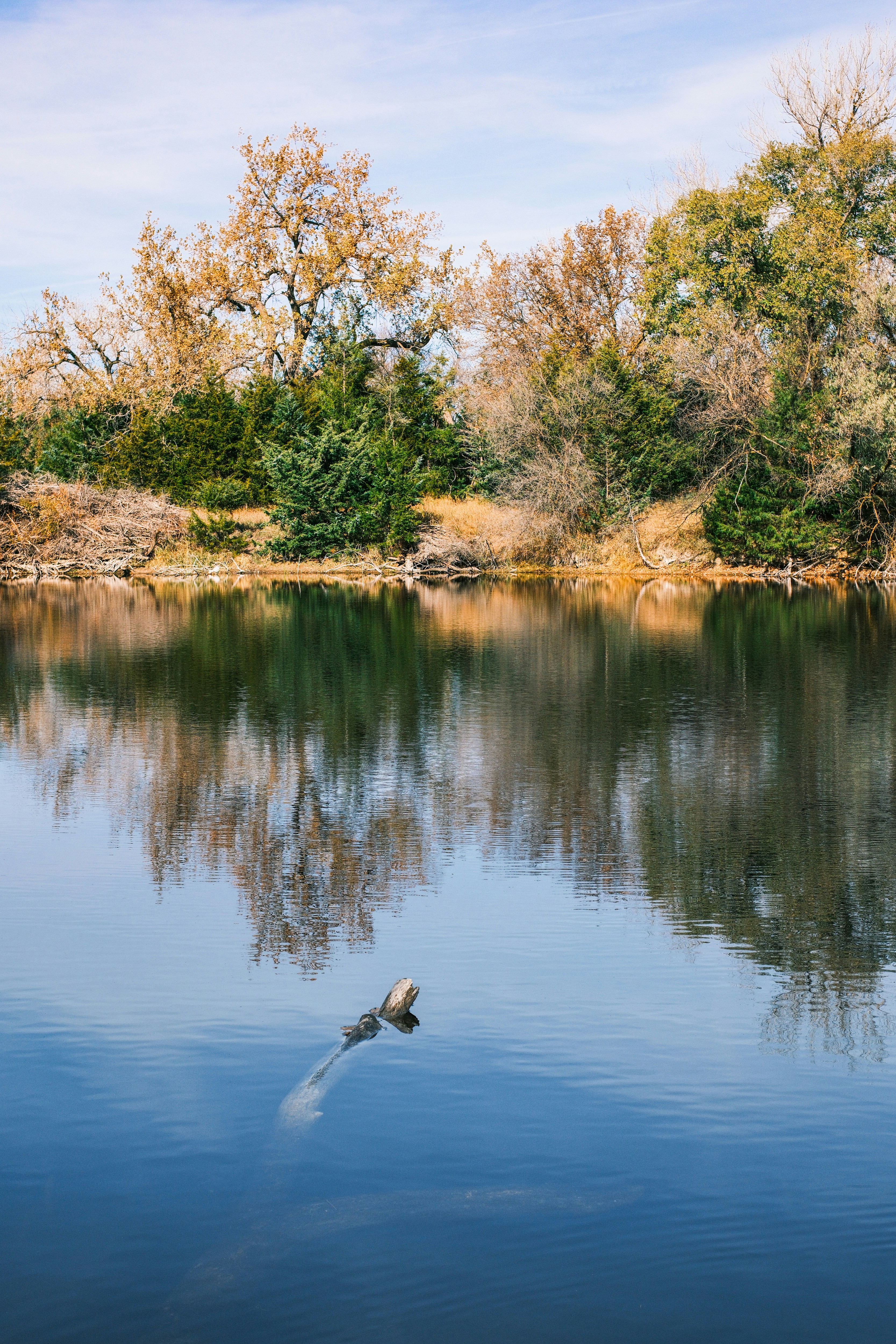 Photo by consoledotlog