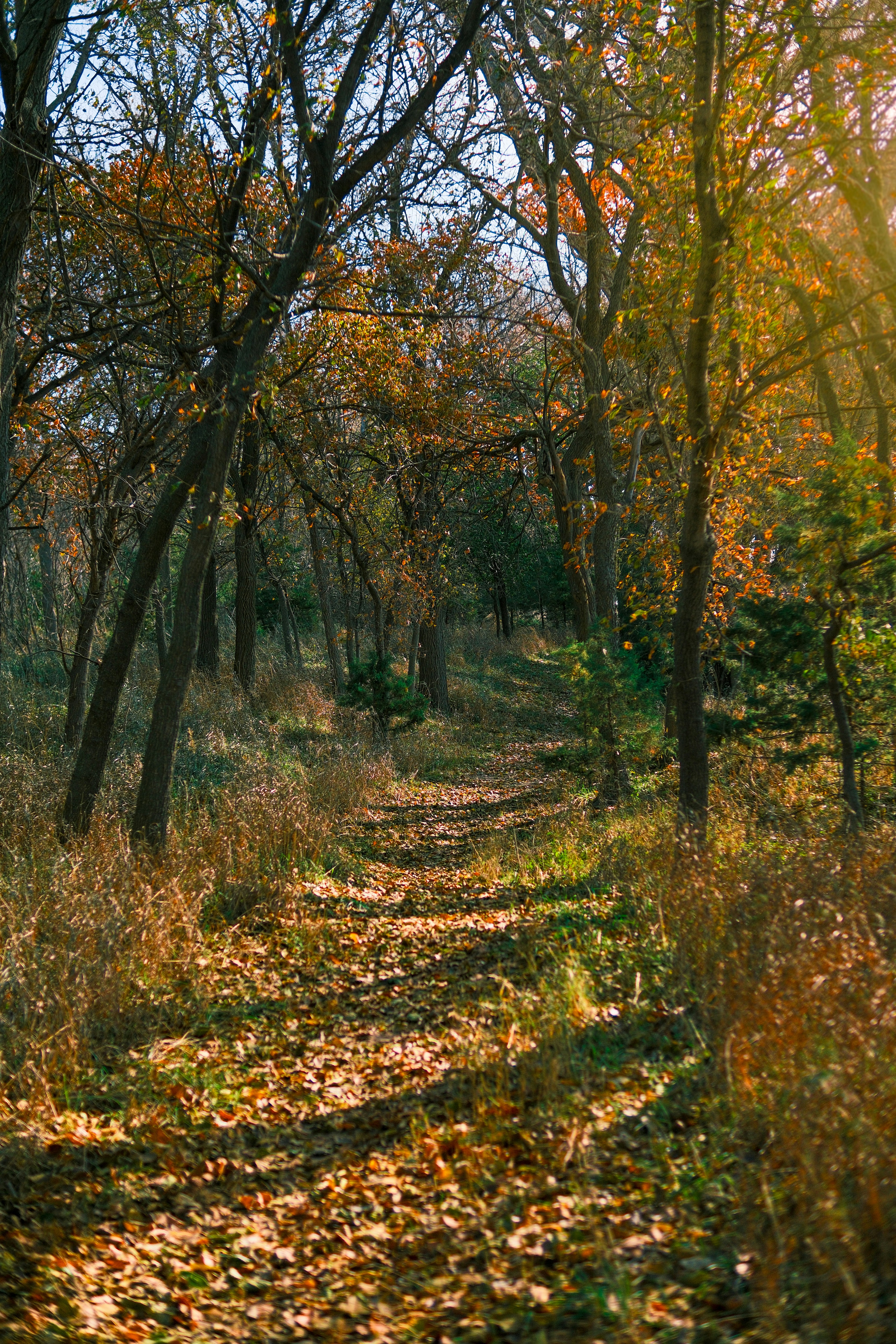 Photo by consoledotlog