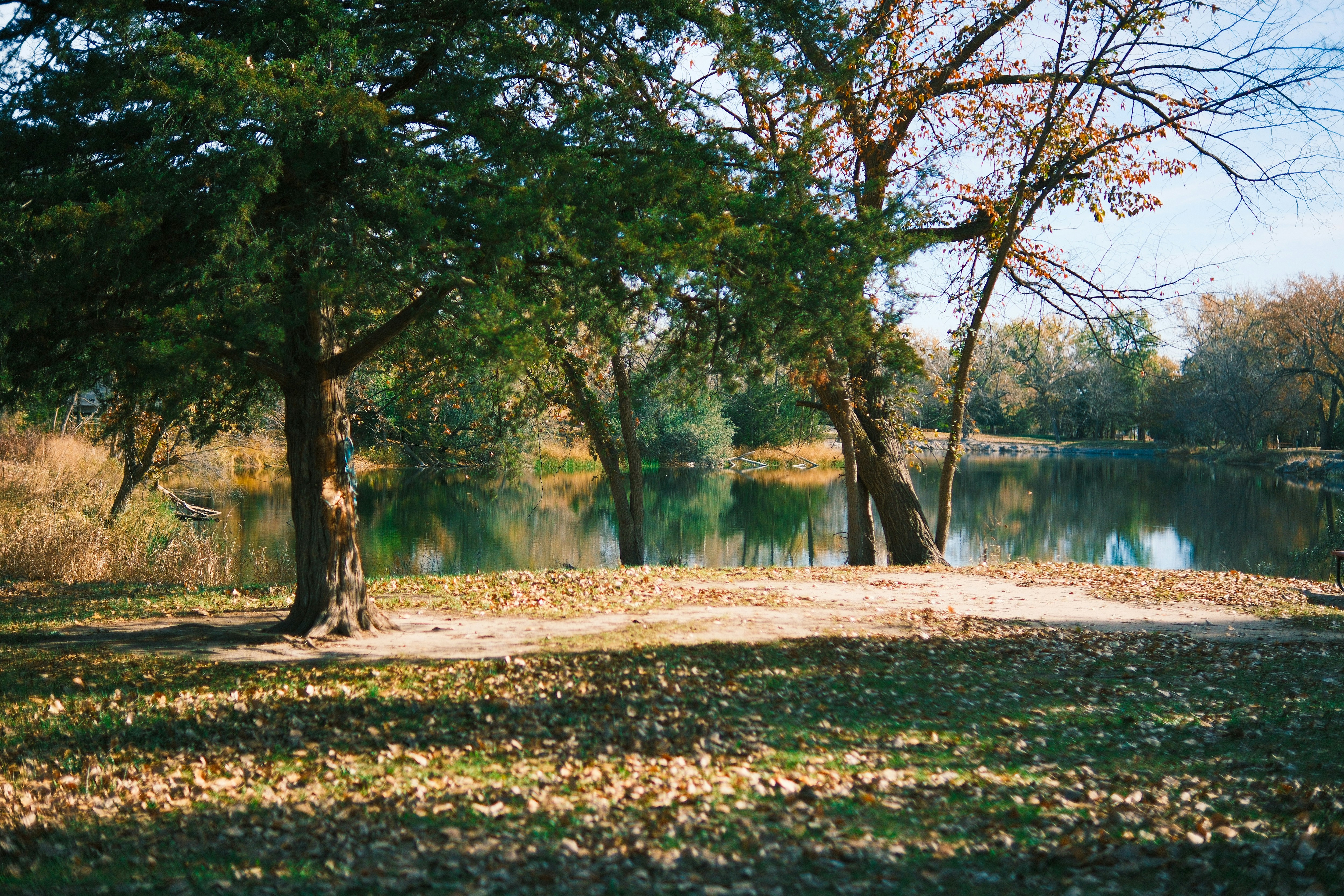 Photo by consoledotlog