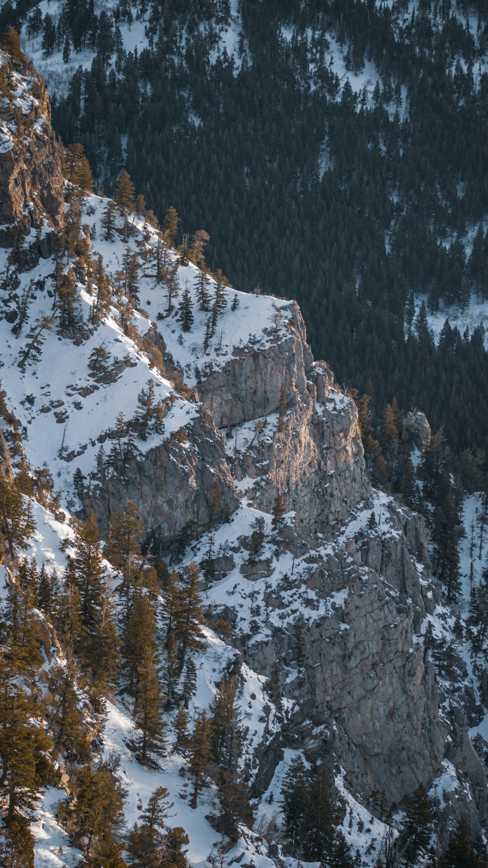 a snow covered mountain with trees on the side of it