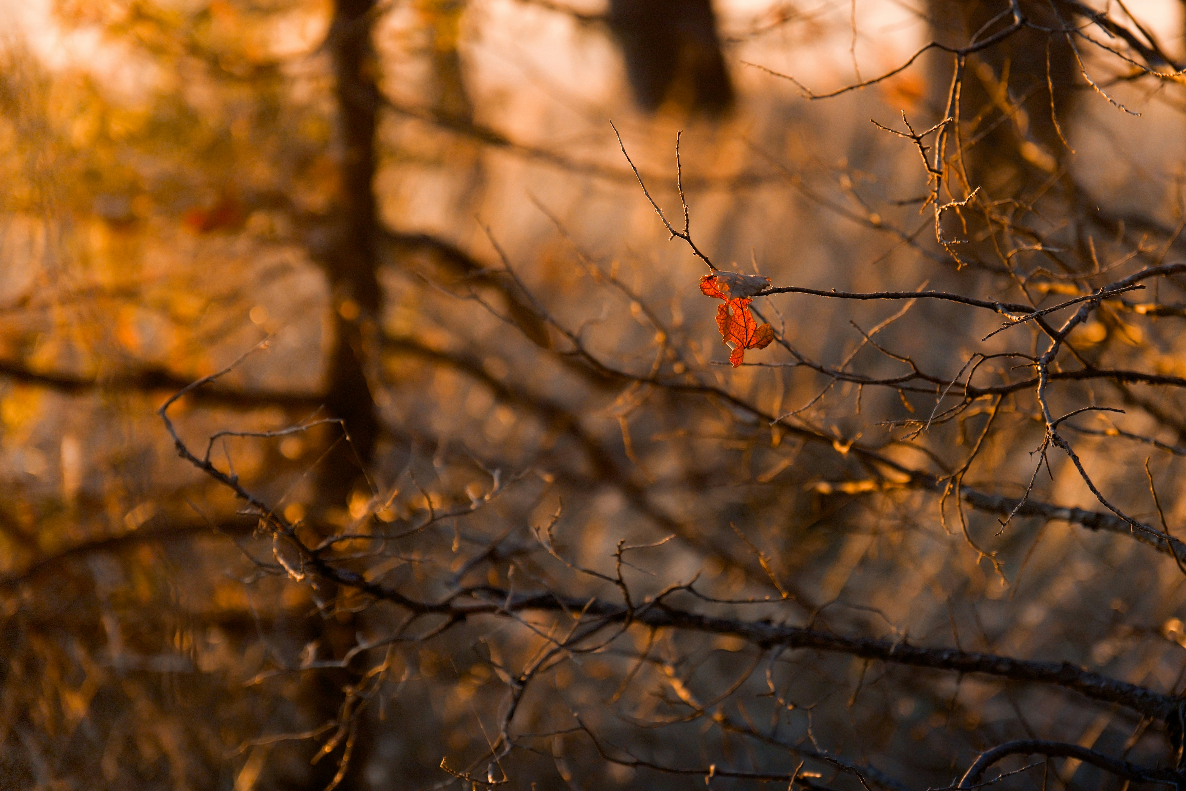 Photo by consoledotlog