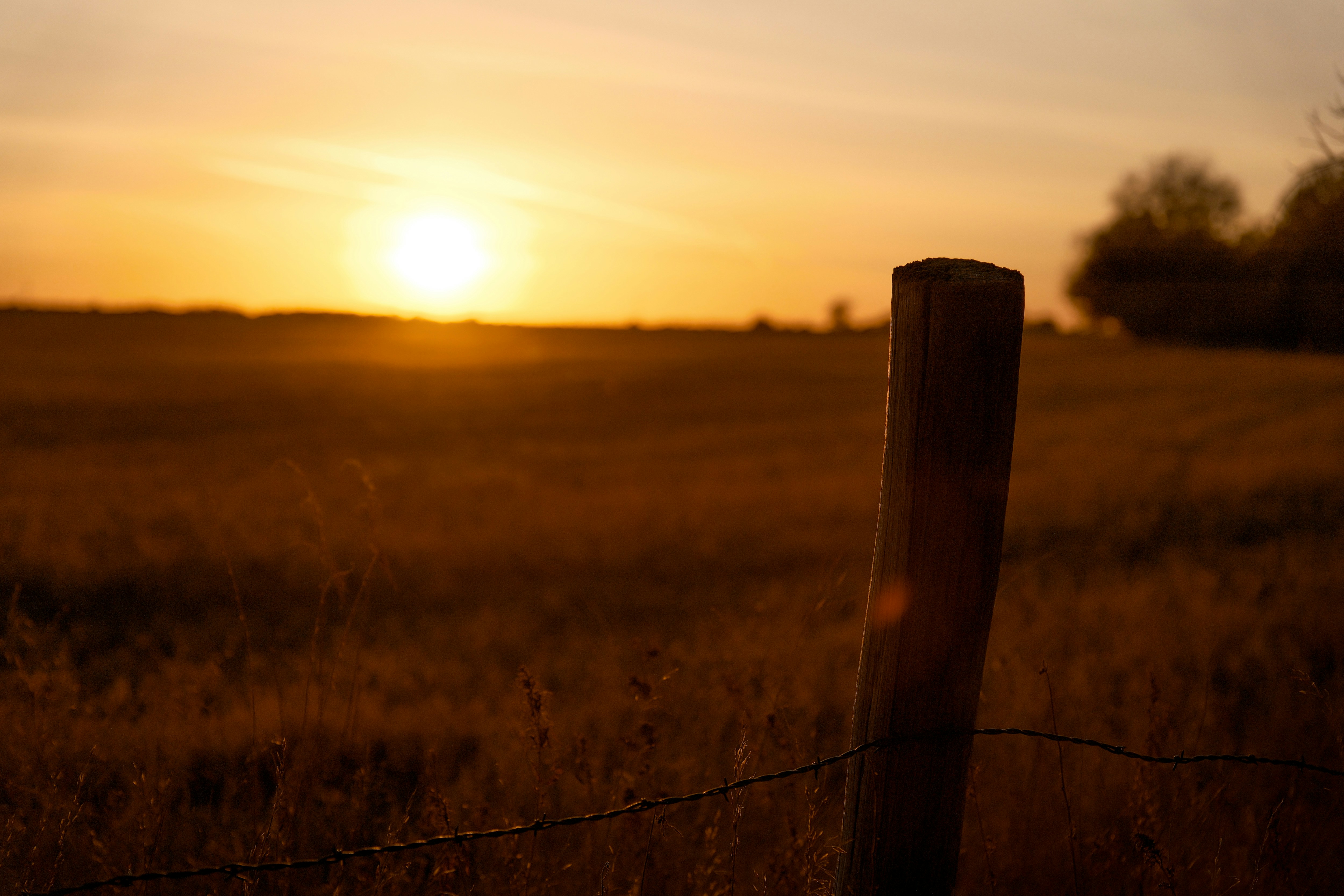 Photo by consoledotlog