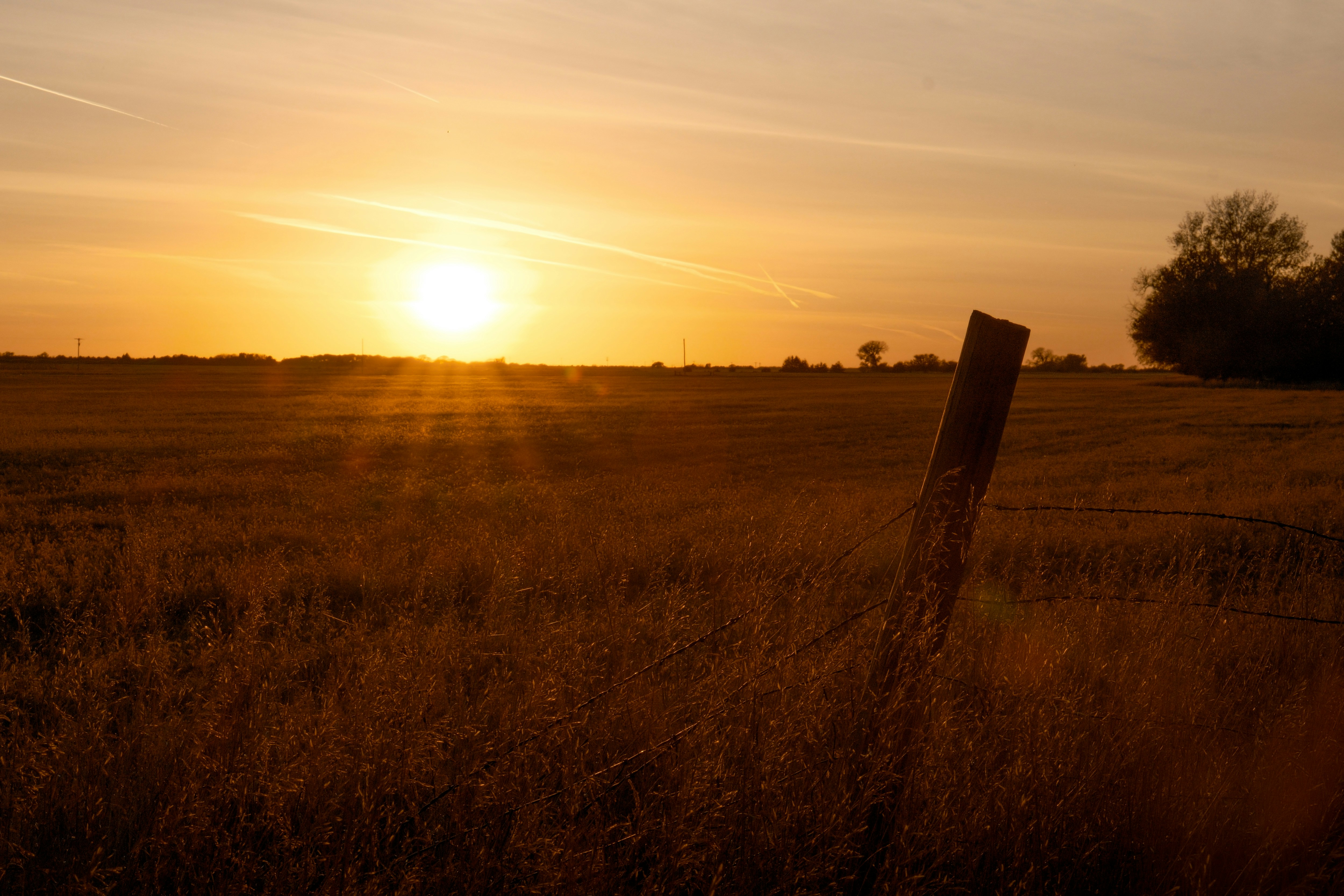 Photo by consoledotlog