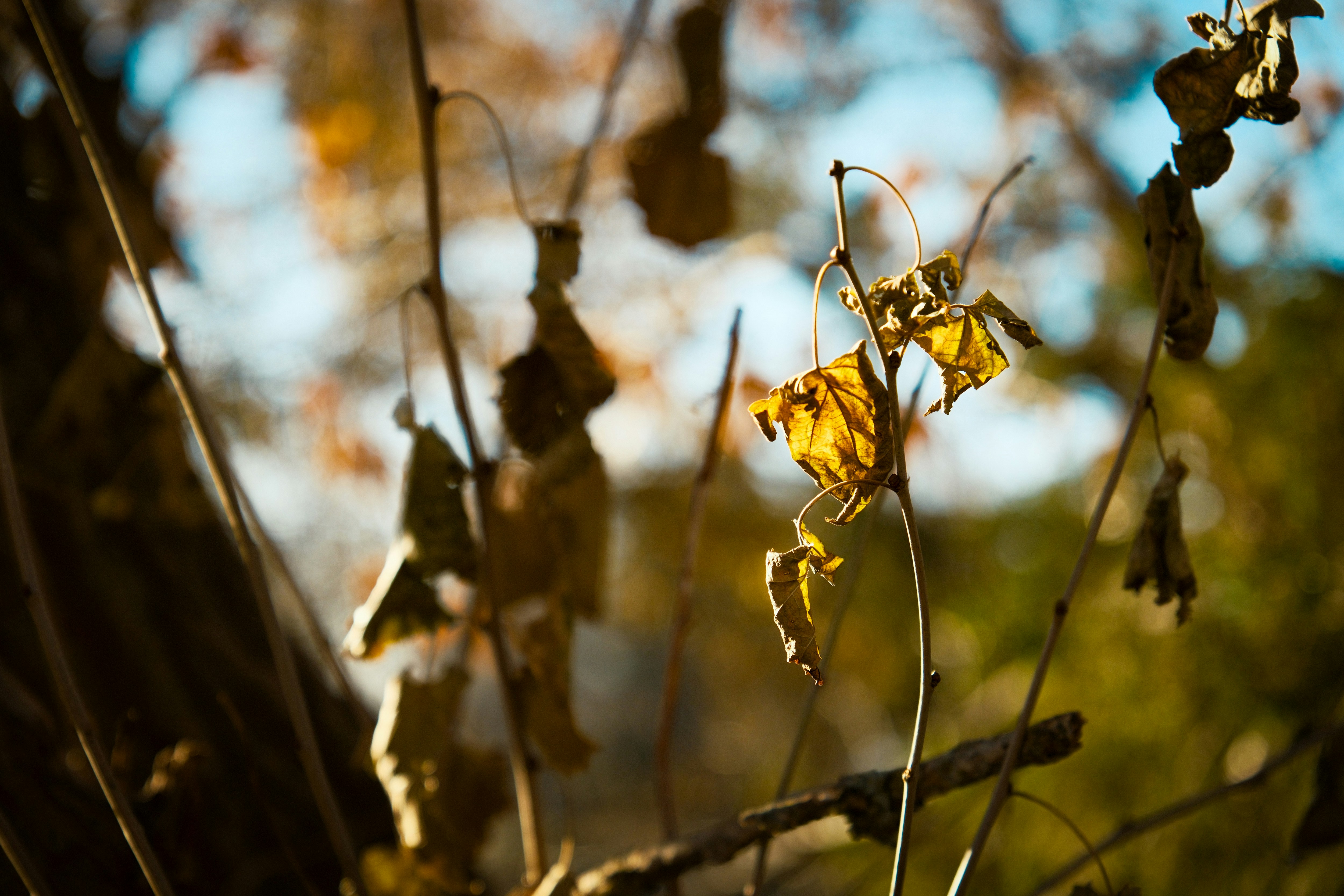 Photo by consoledotlog