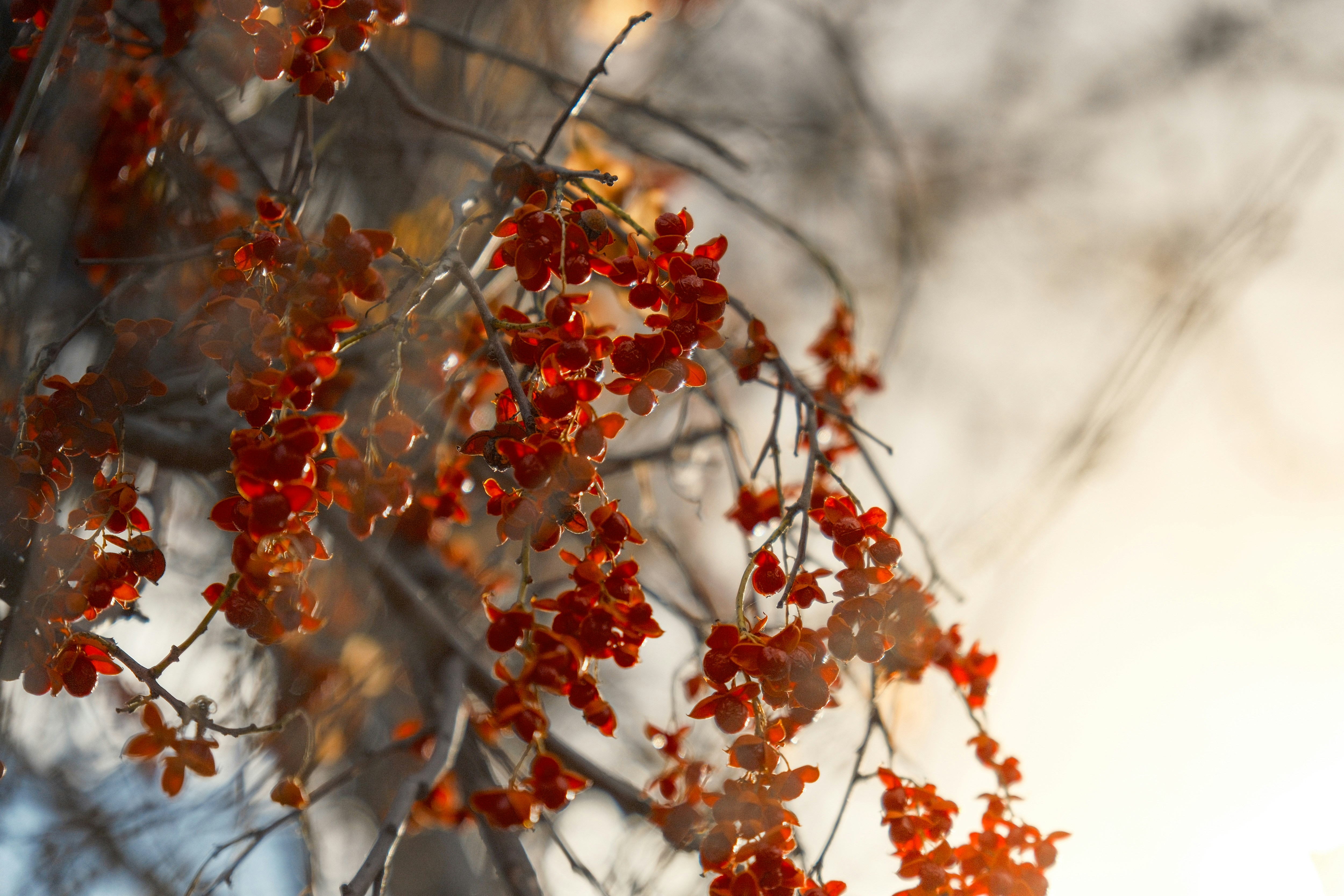 Photo by consoledotlog