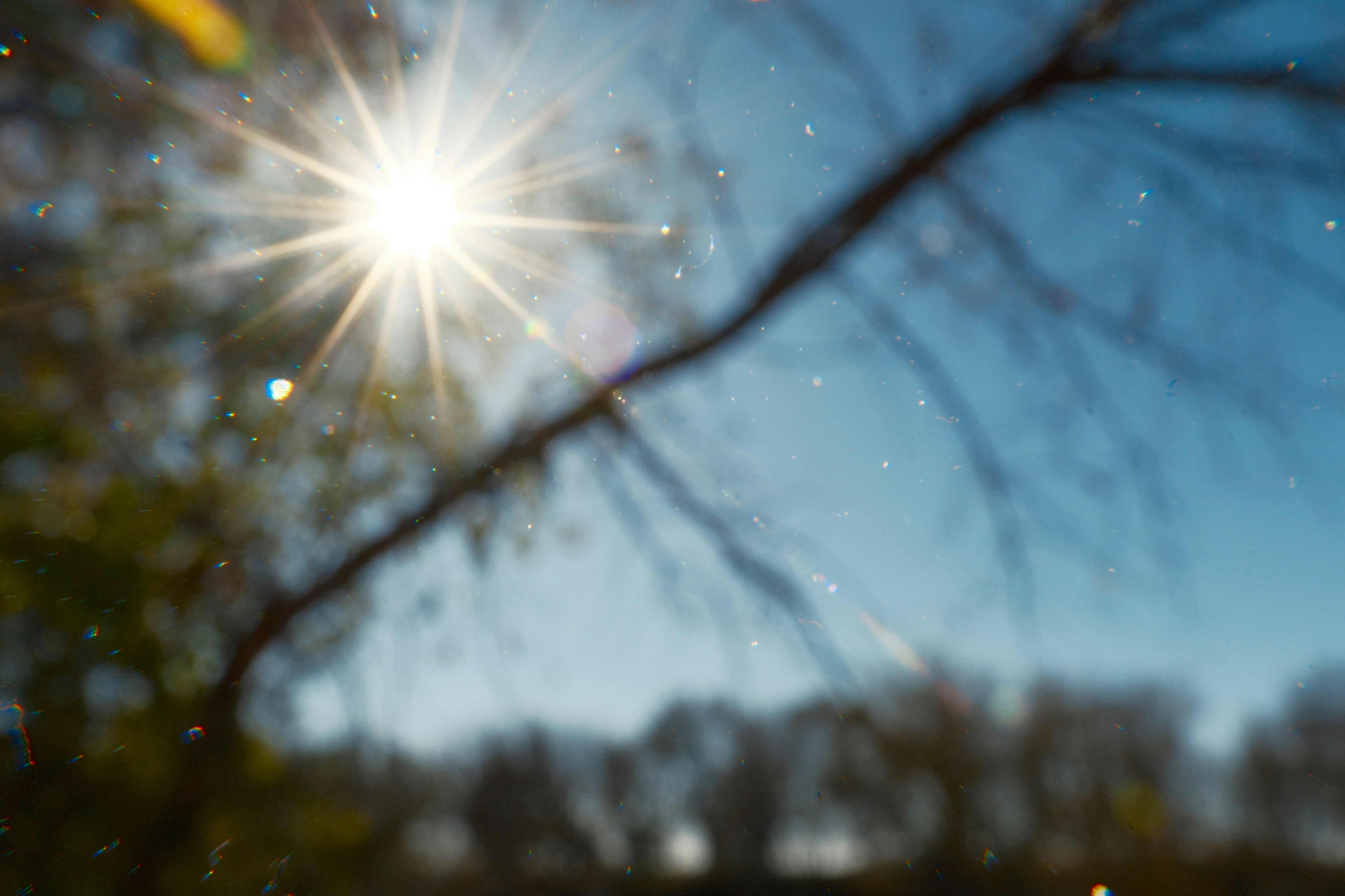 Photo by consoledotlog