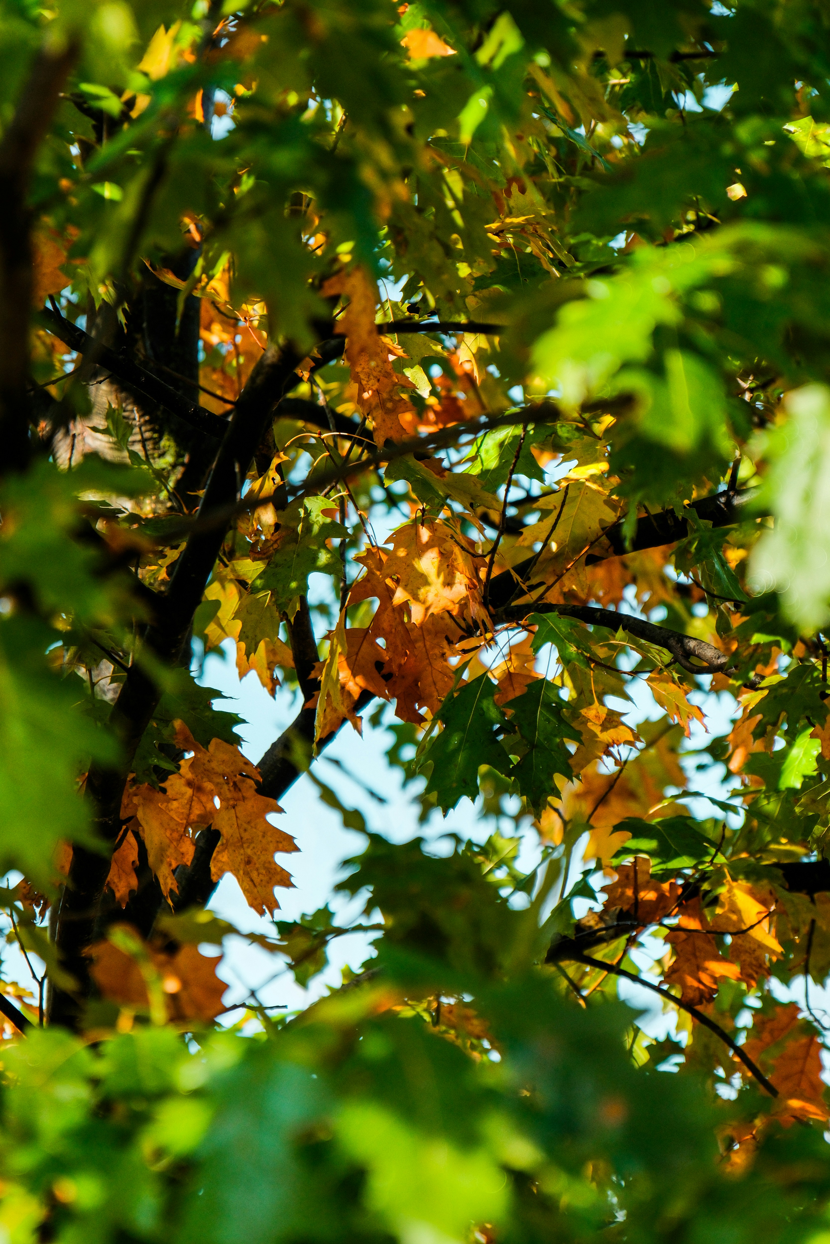 Photo by consoledotlog