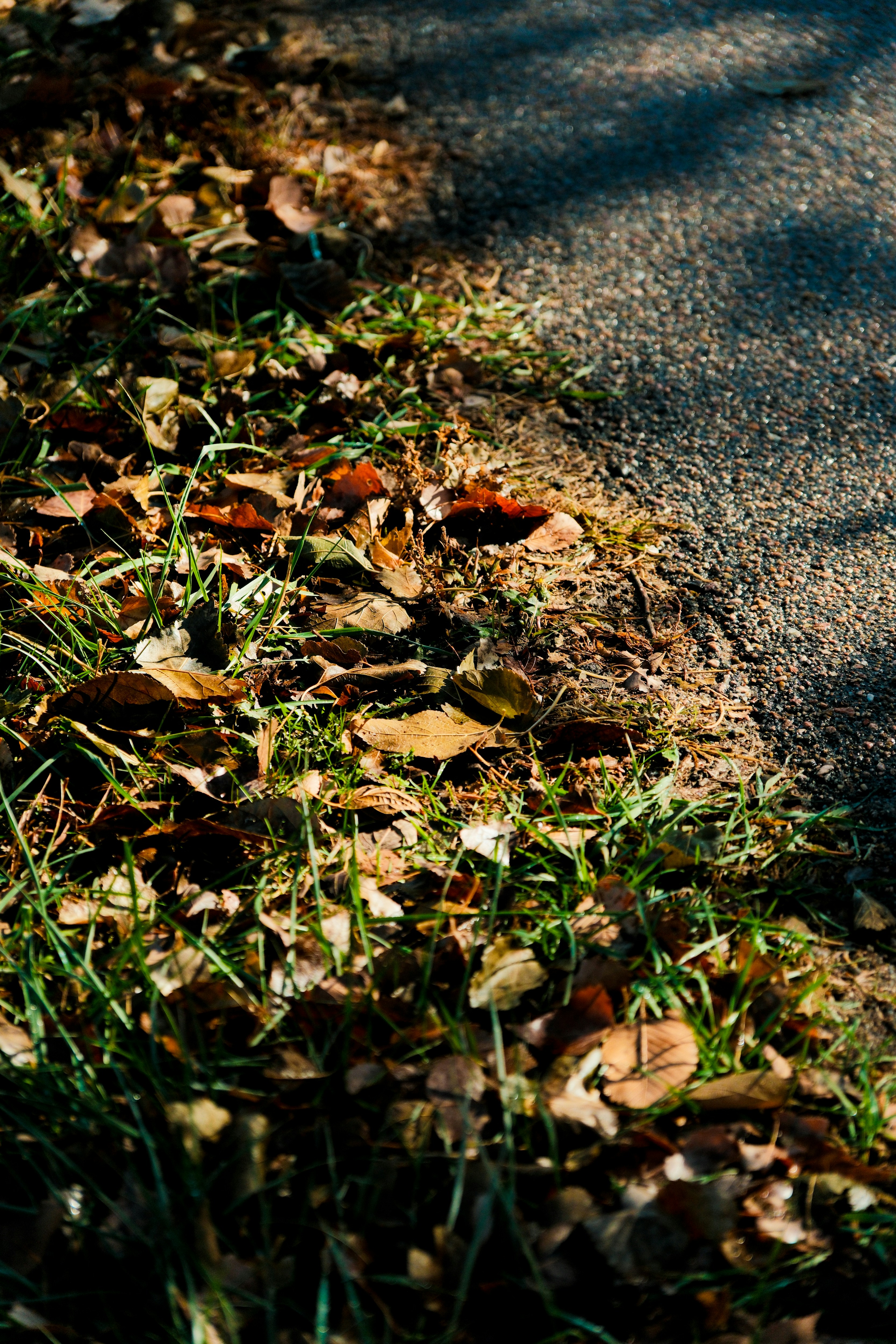 Photo by consoledotlog